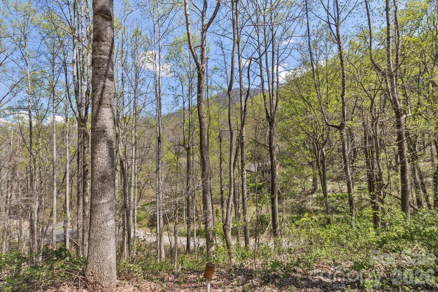 53 Benfield Road Weaverville NC 28787