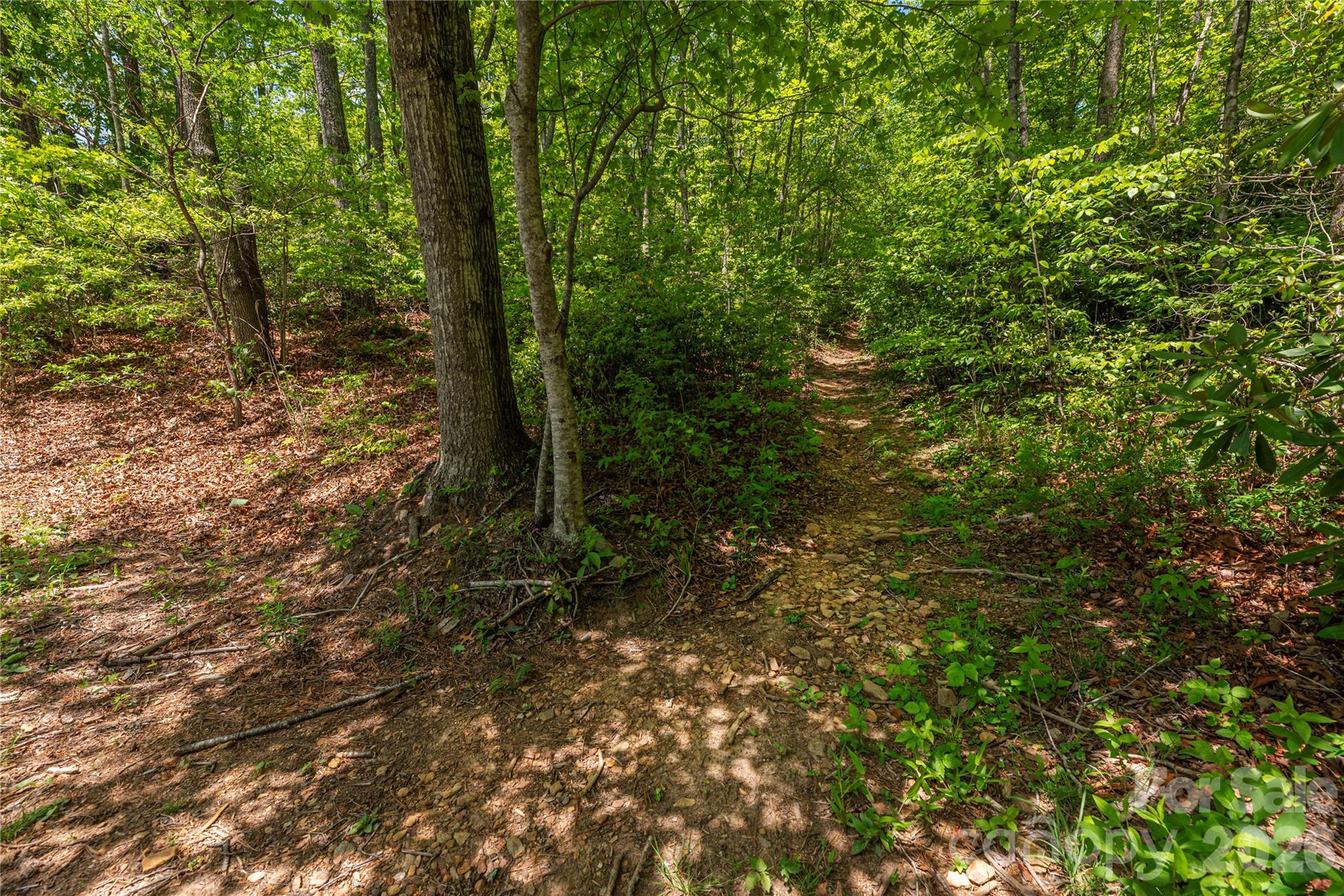 35 Grey Rock Valley Black Mountain NC 28711