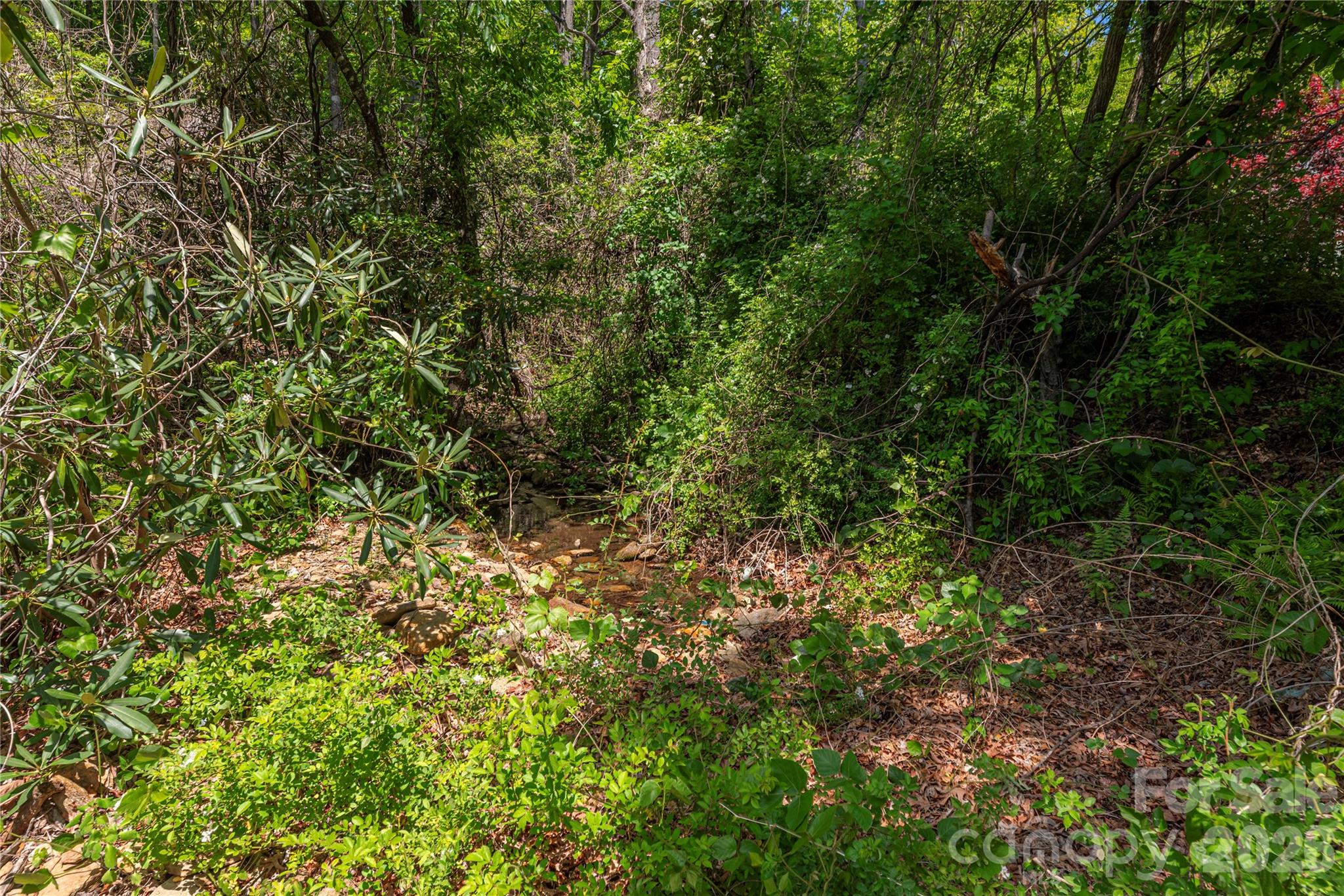 35 Grey Rock Valley Black Mountain NC 28711
