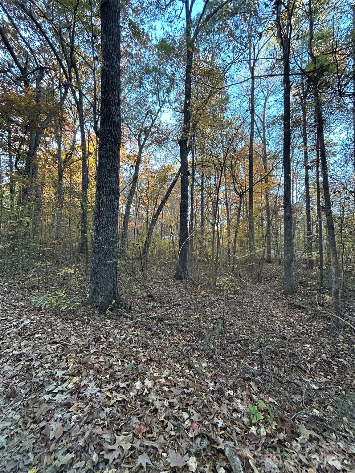 260 Joy Circle Salisbury NC 28146