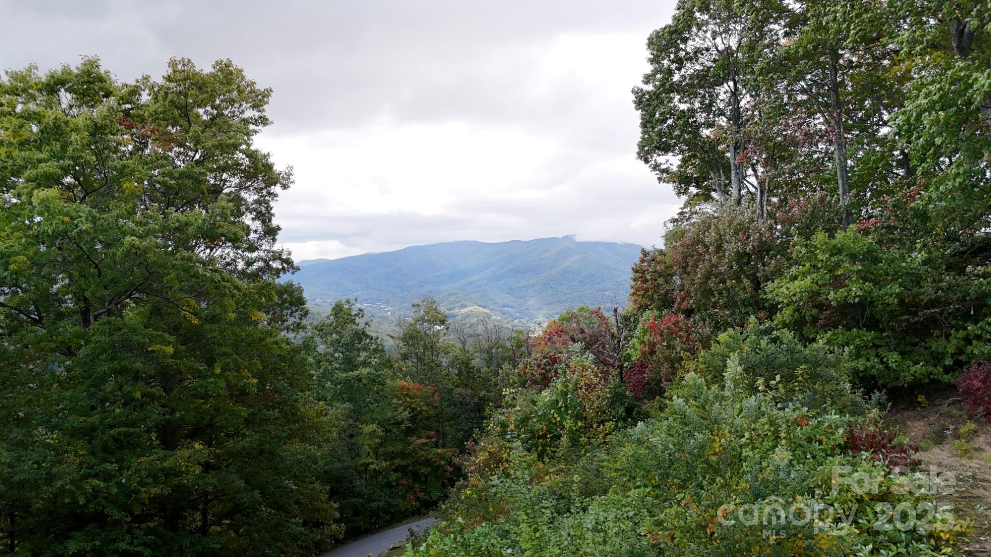 Lot 45 Weatherwatch Lane Waynesville NC 28786