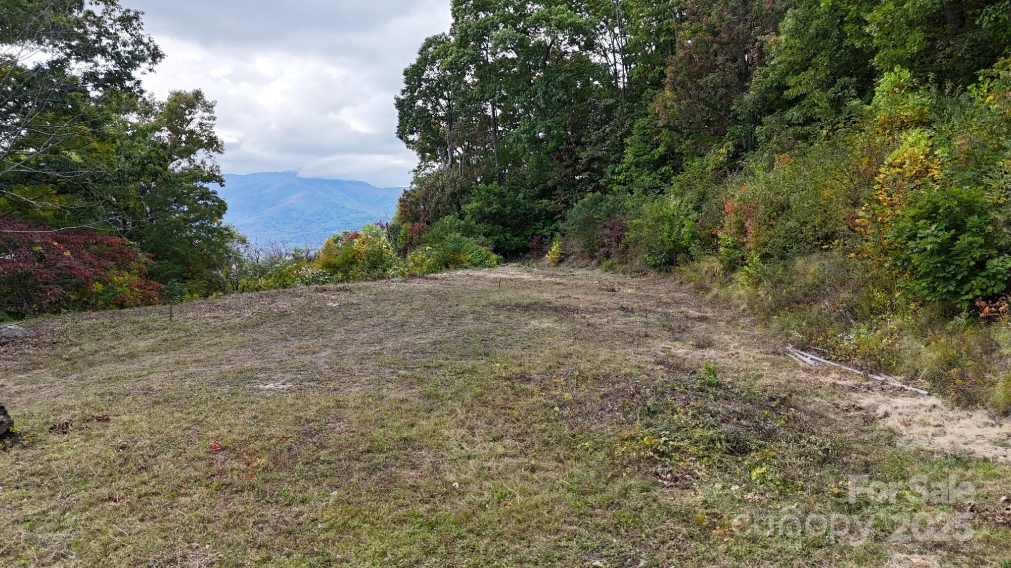 Lot 45 Weatherwatch Lane Waynesville NC 28786