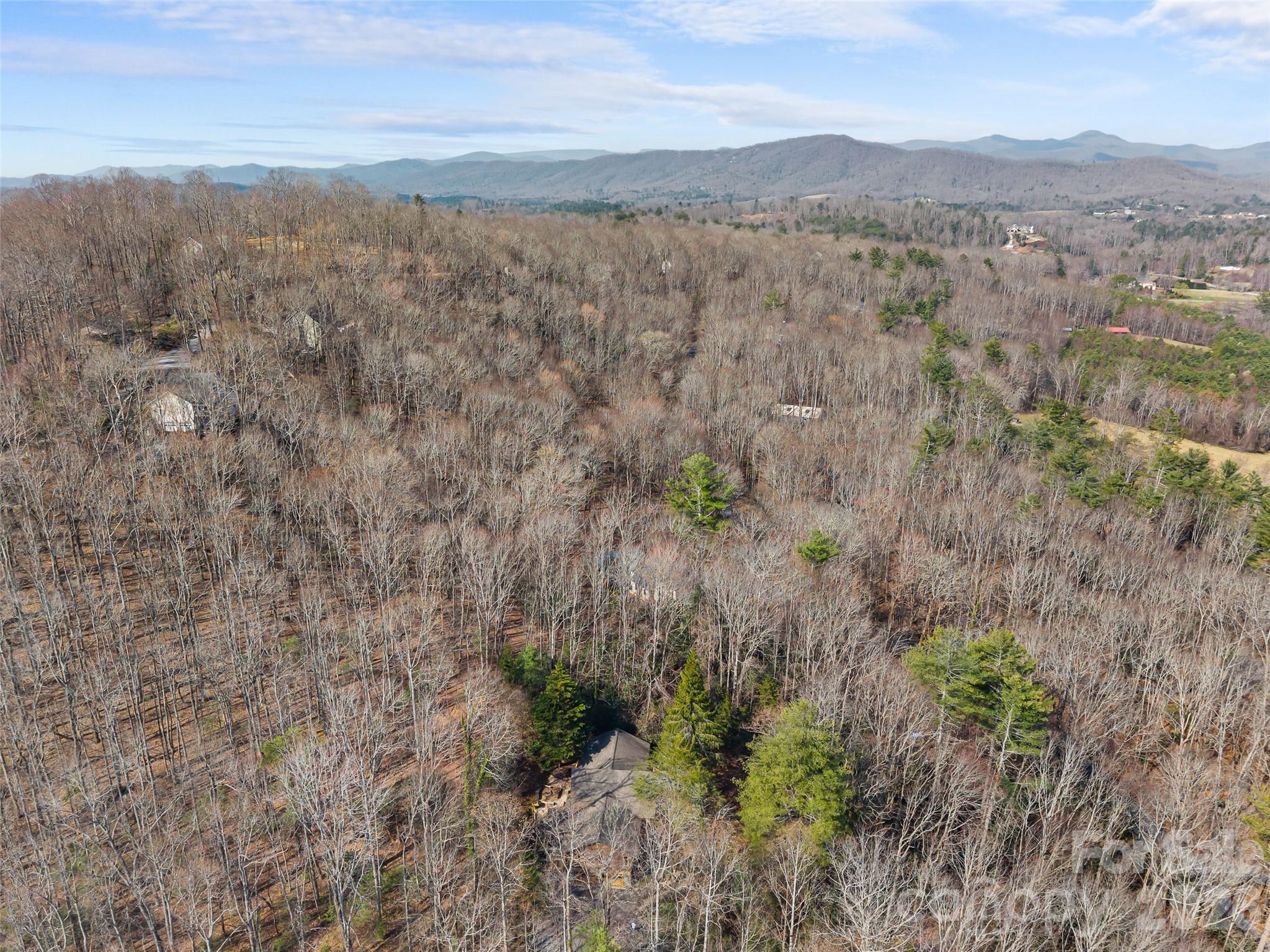 6 Ravenwood Lane Horse Shoe NC 28742