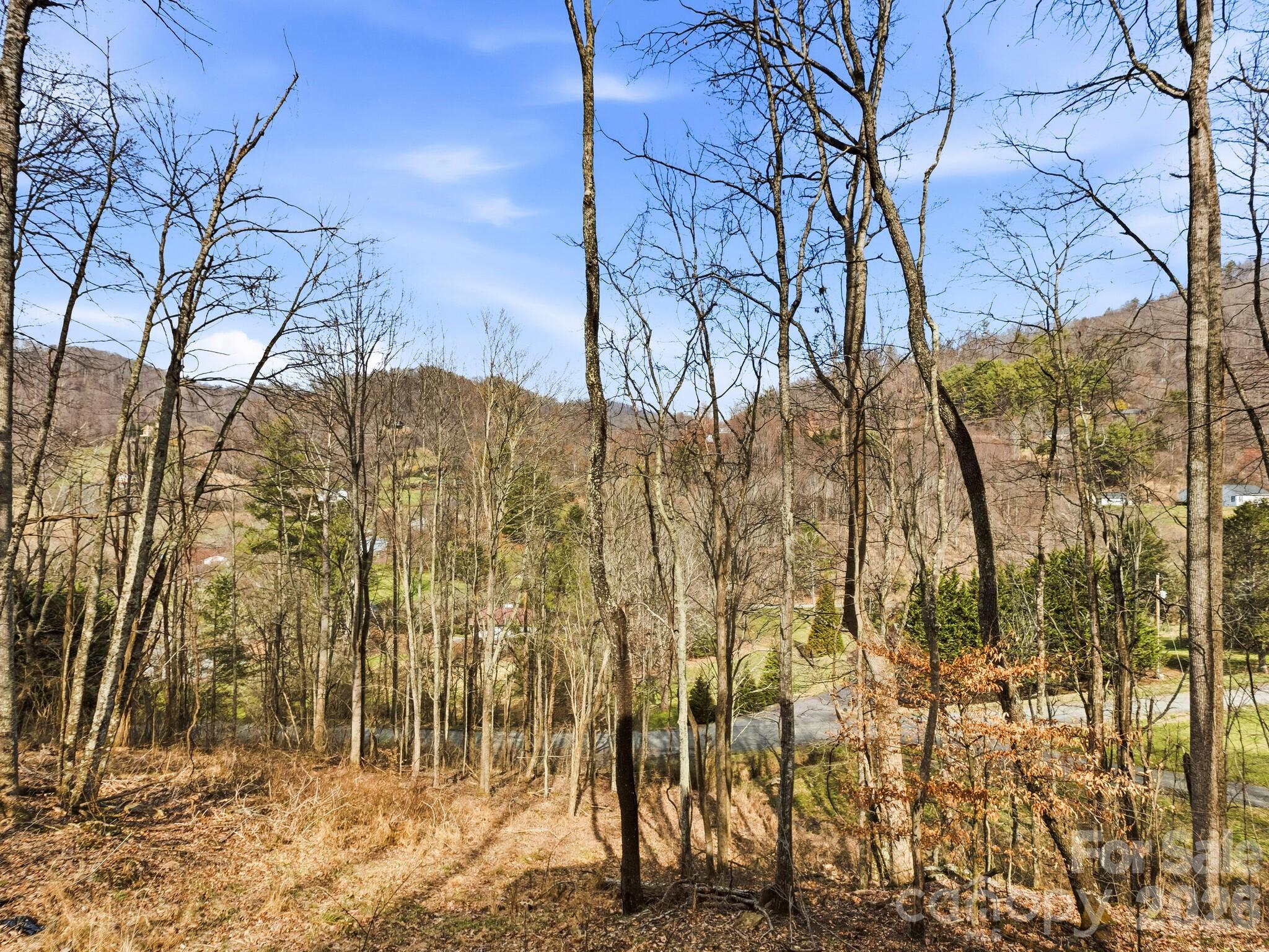 98 Harmony Hill Lane Mars Hill NC 28754