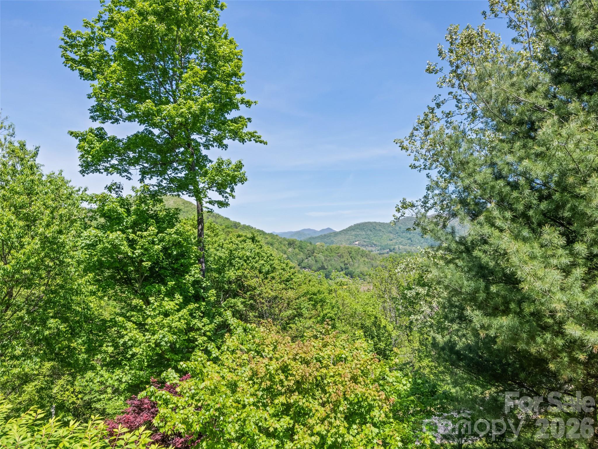 970 Campbell Mountain Drive Waynesville NC 28785