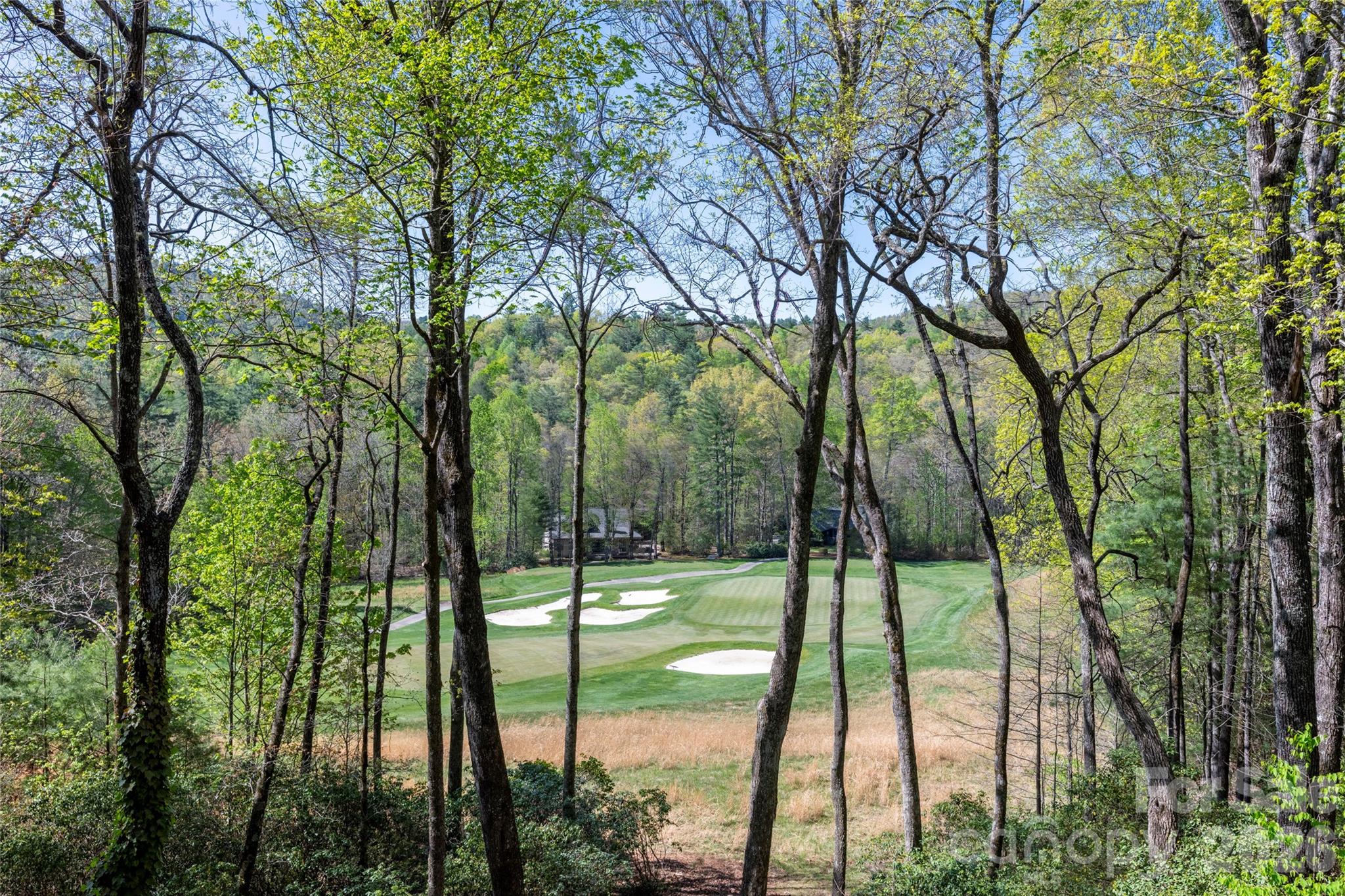 516 Cherokee Trace Lake Toxaway NC 28747