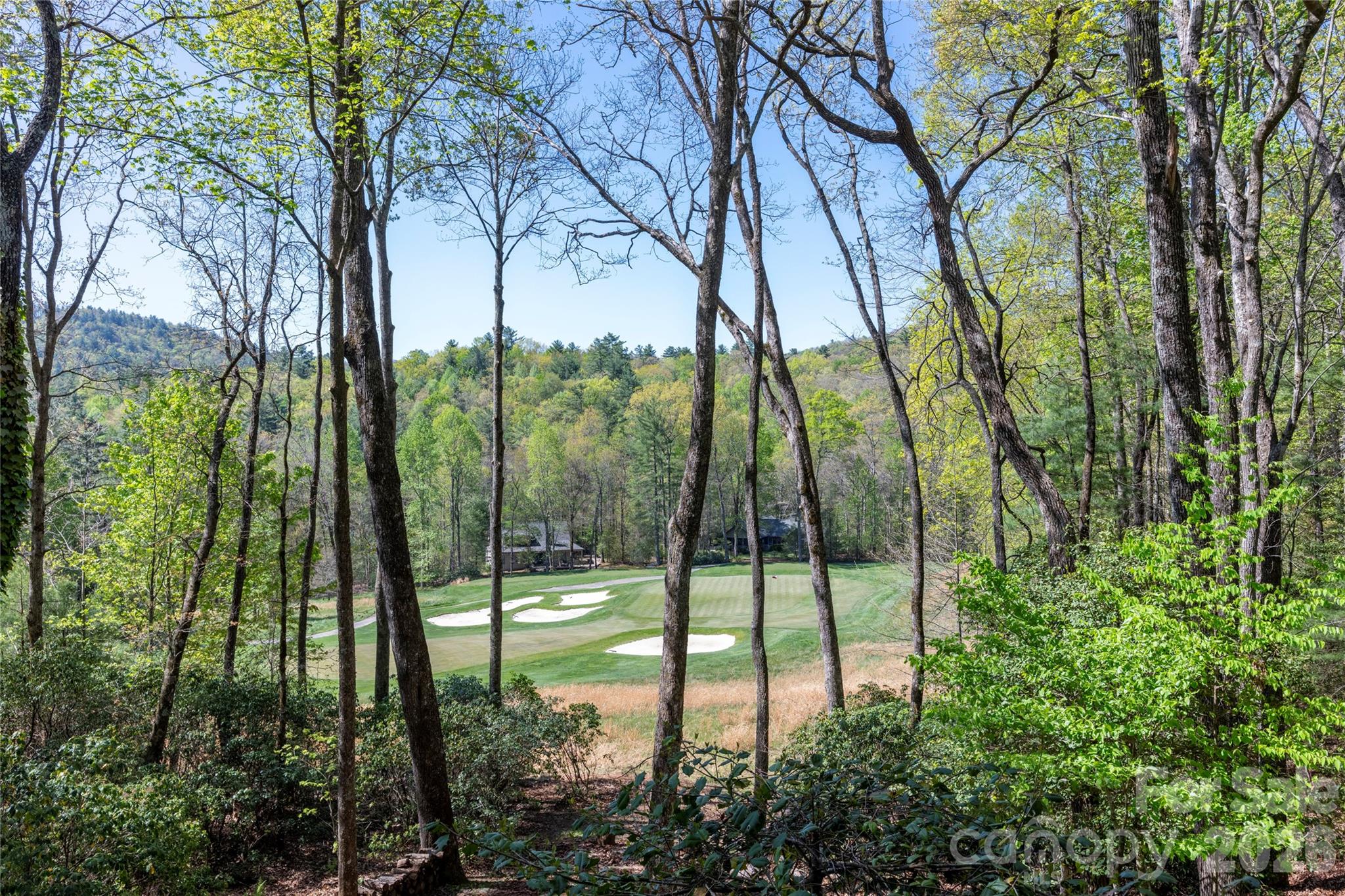 516 Cherokee Trace Lake Toxaway NC 28747