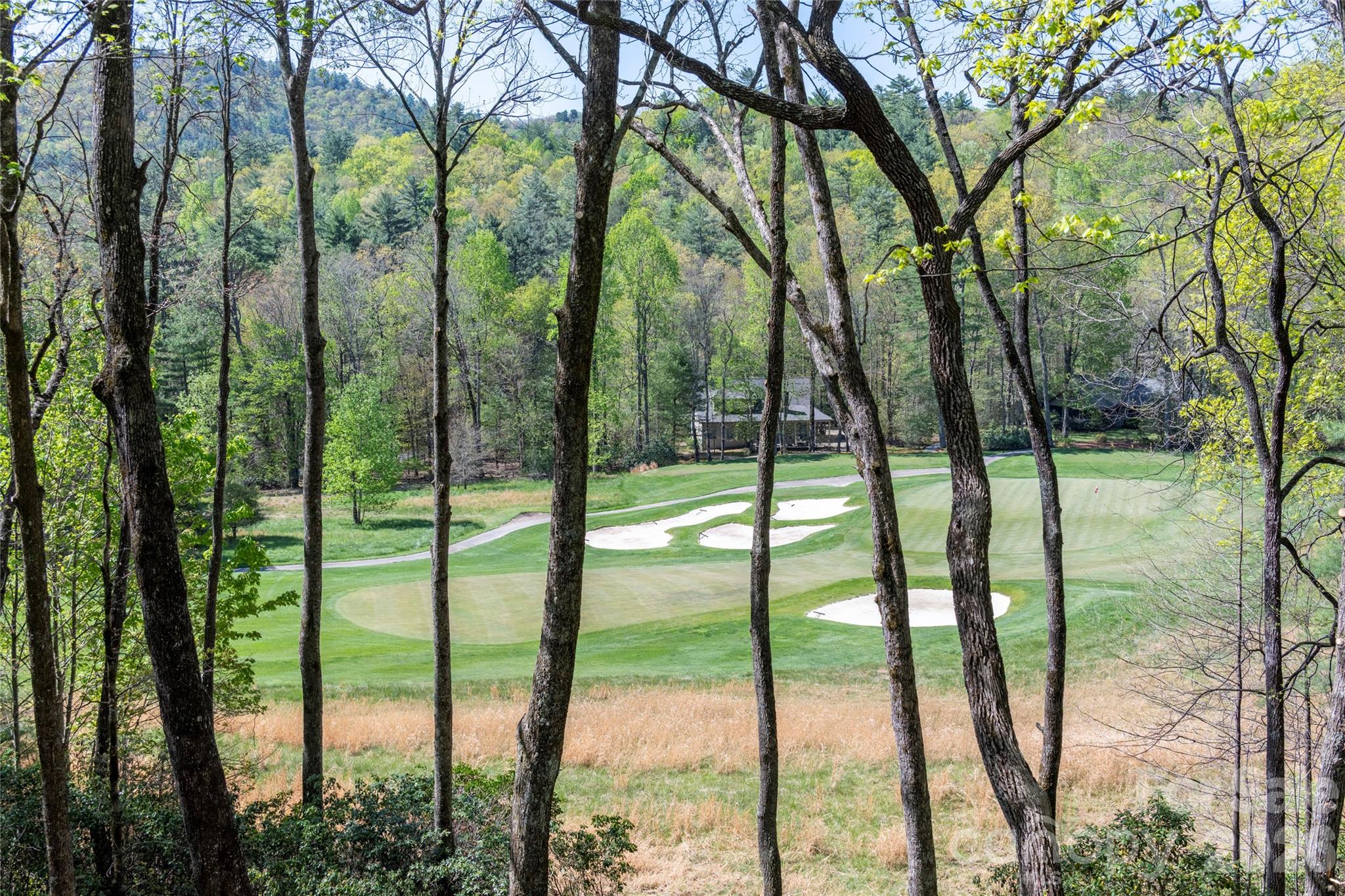 516 Cherokee Trace Lake Toxaway NC 28747