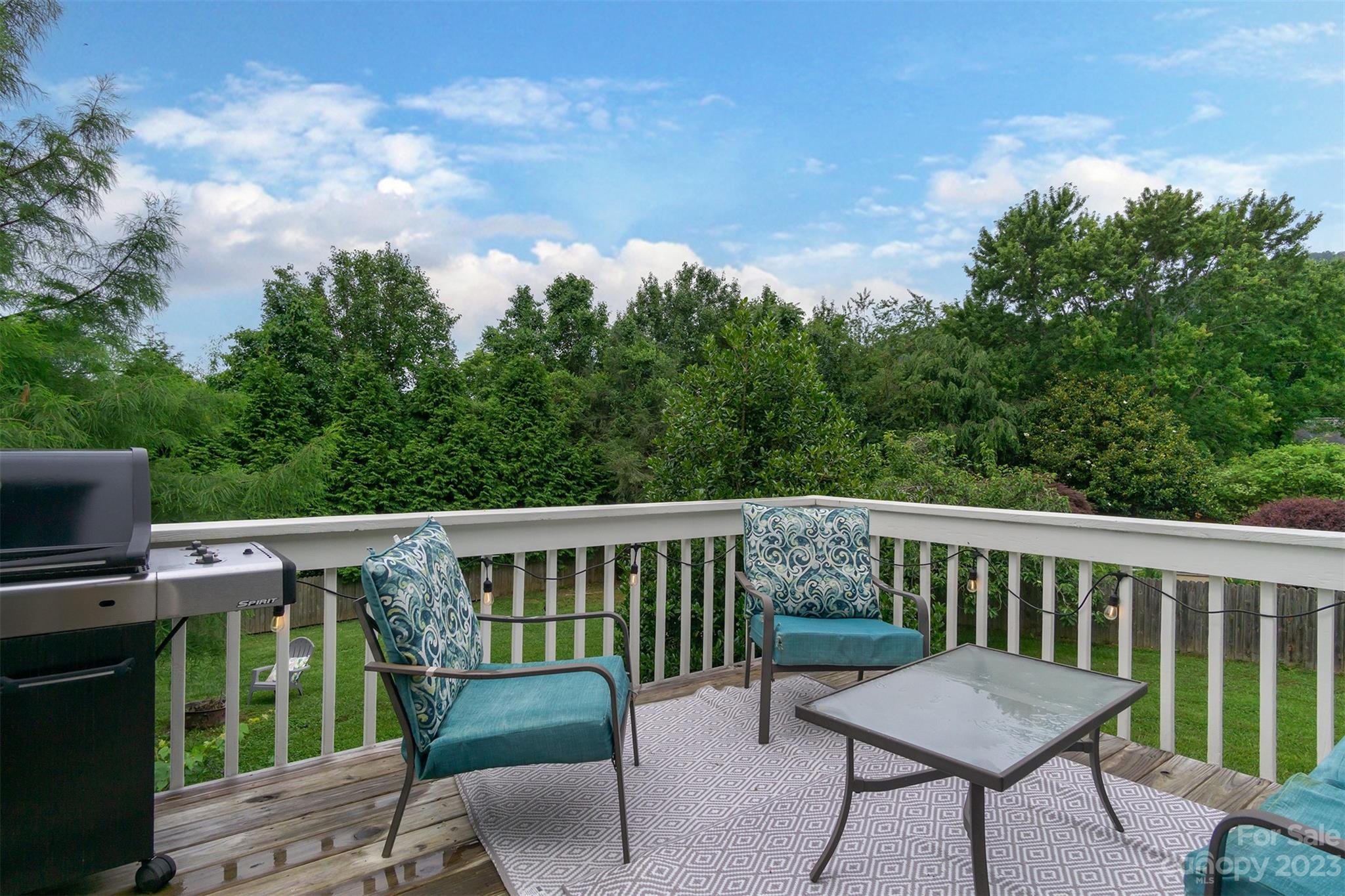 2 Fox Lair Court Asheville NC 28805
