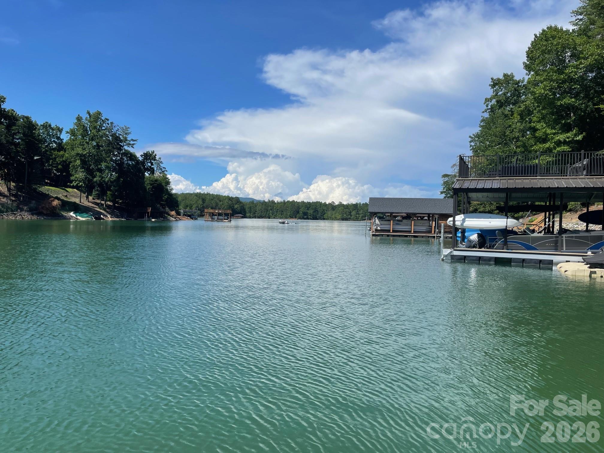 357 Lentz Landing Lane Nebo NC 28761