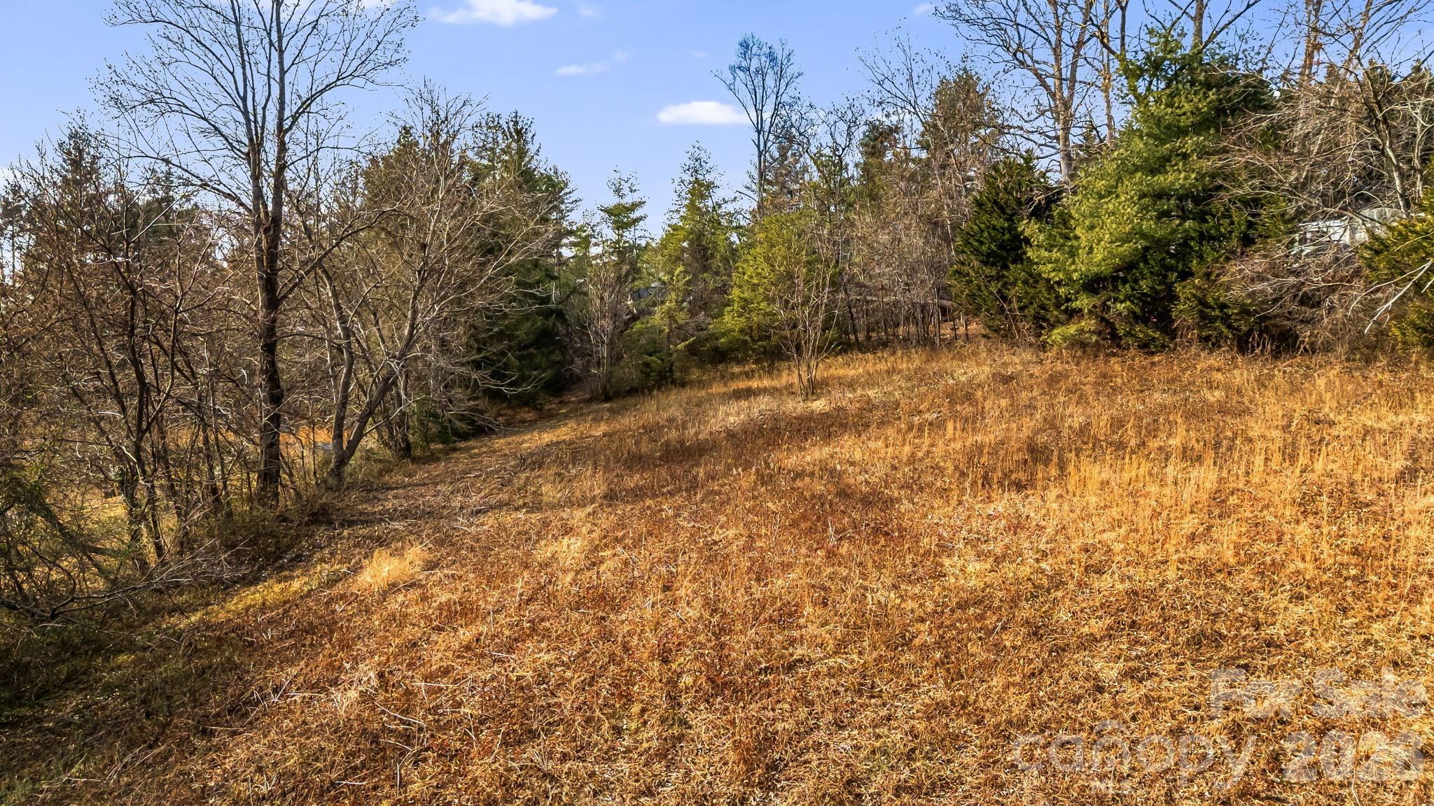 1236 Upper Brush Creek Road Fairview NC 28730