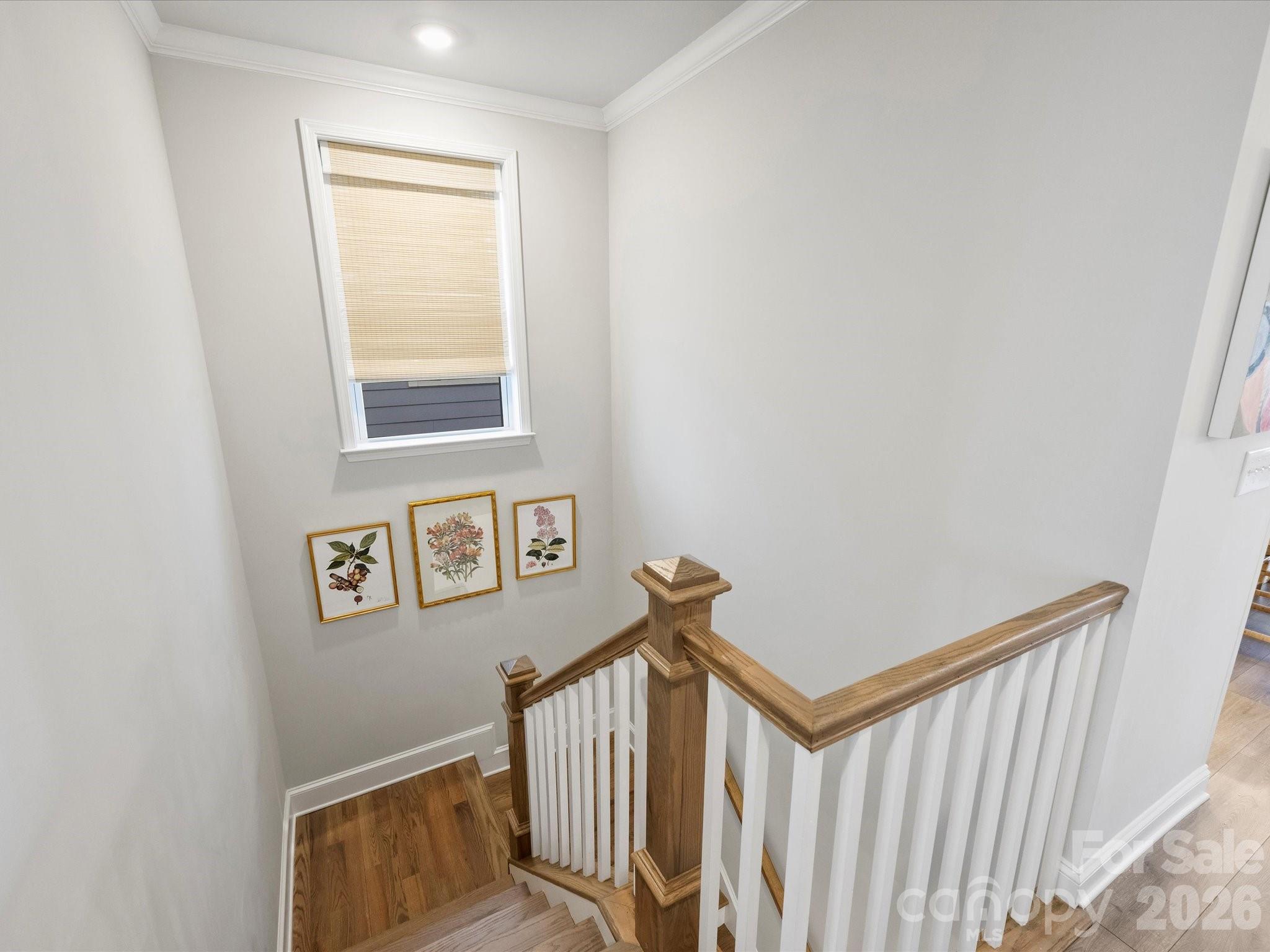 2522 Lydia Avenue Charlotte NC 28205