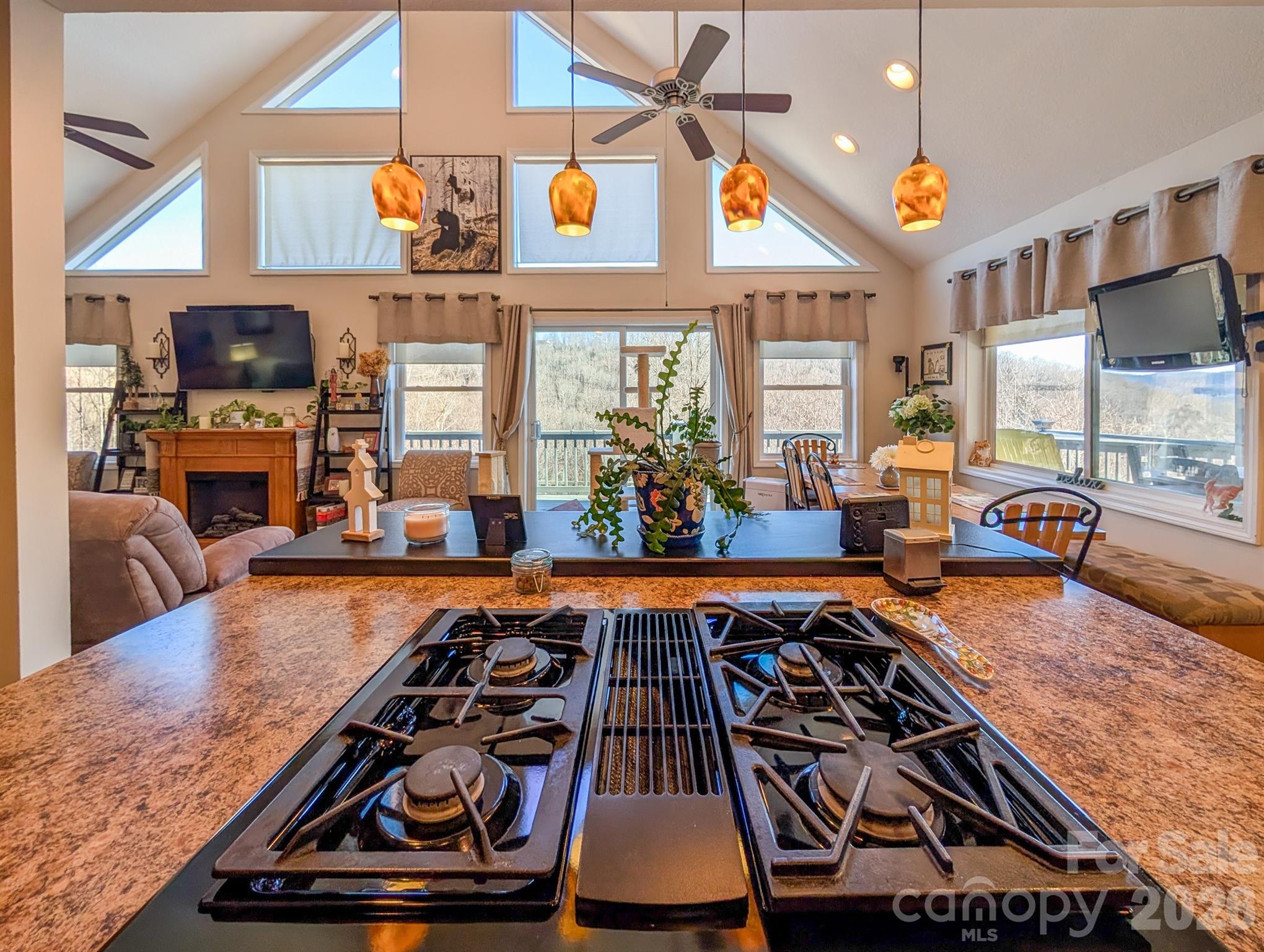 305 Majestic Mountain Drive Burnsville NC 28714