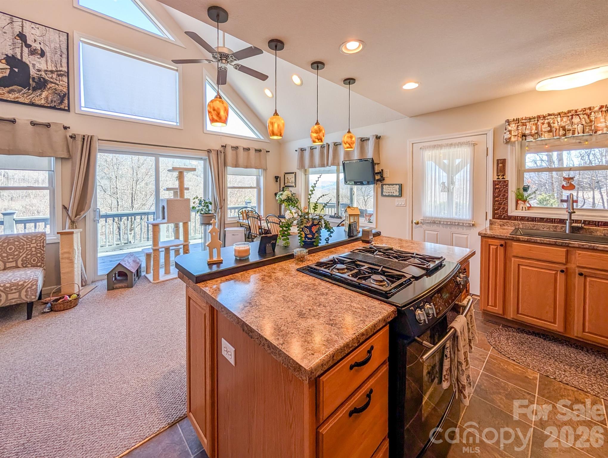 305 Majestic Mountain Drive Burnsville NC 28714