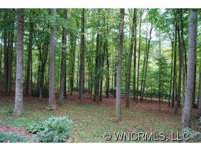 44 Turnpike Ridge Candler NC 28715