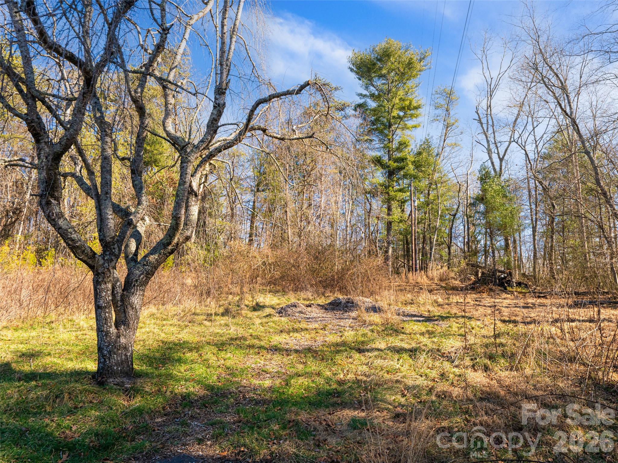 44 Presbyterian Church Road Mills River NC 28759