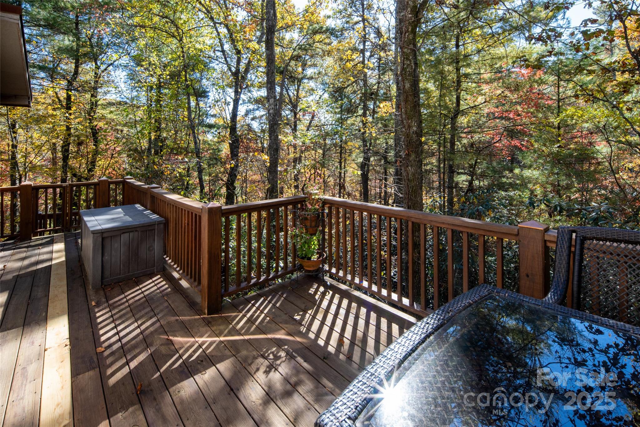 69 Dogwood Branch Lane Zirconia NC 28790