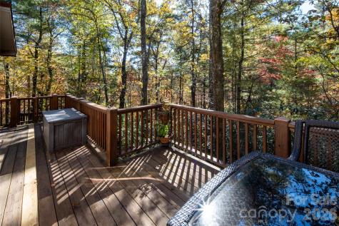 69 Dogwood Branch Lane Zirconia NC 28790