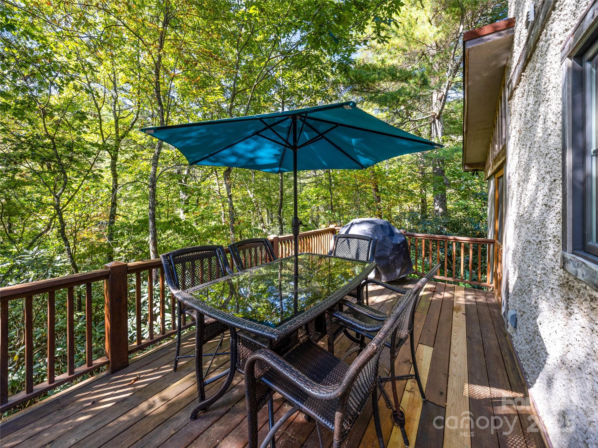 69 Dogwood Branch Lane Zirconia NC 28790