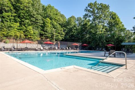 960 Middle Connestee Trail Brevard NC 28712