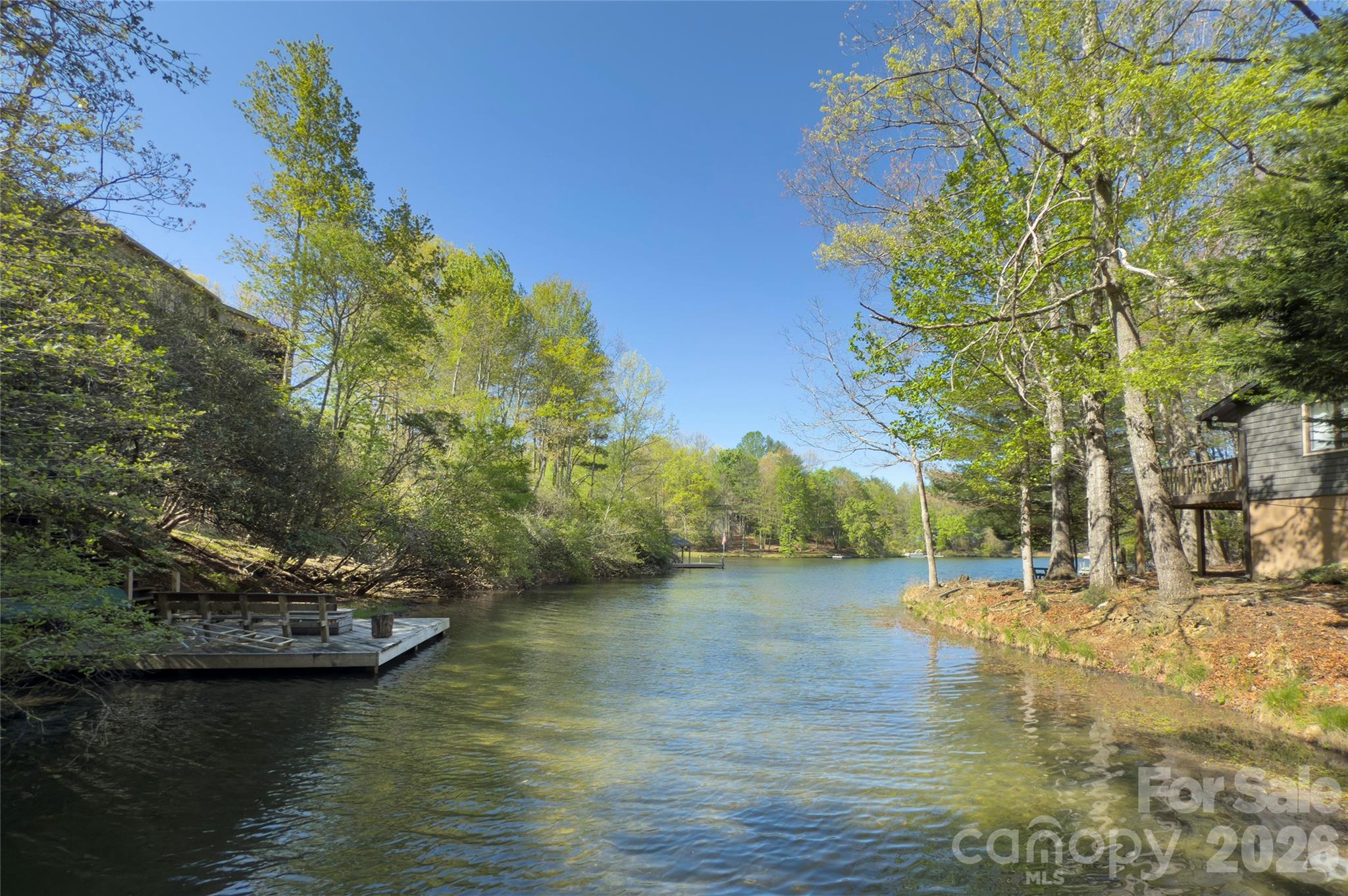 960 Middle Connestee Trail Brevard NC 28712
