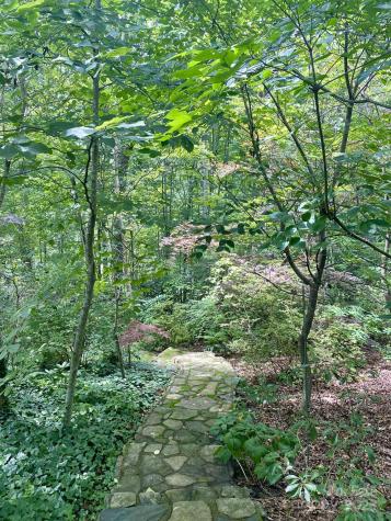 163 Gypsy Mountain Road Marion NC 28752