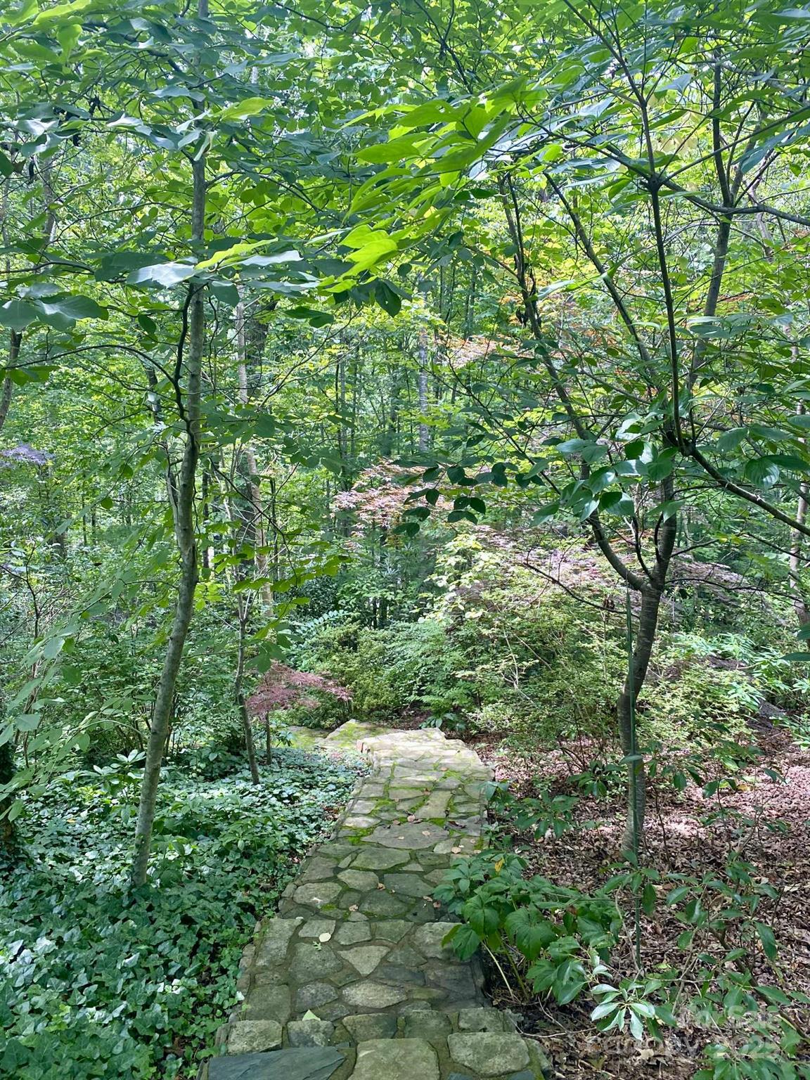 163 Gypsy Mountain Road Marion NC 28752