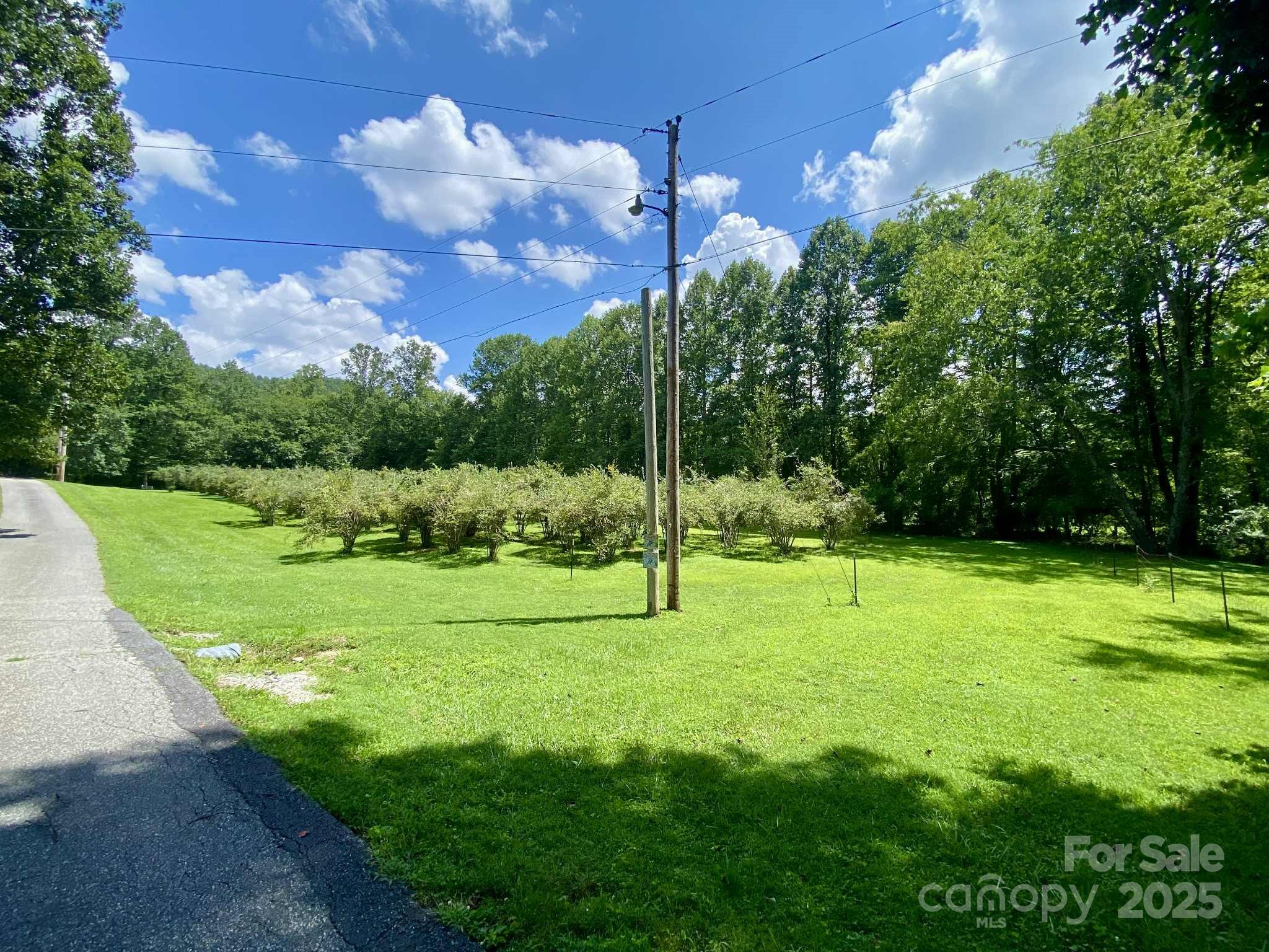 163 Gypsy Mountain Road Marion NC 28752