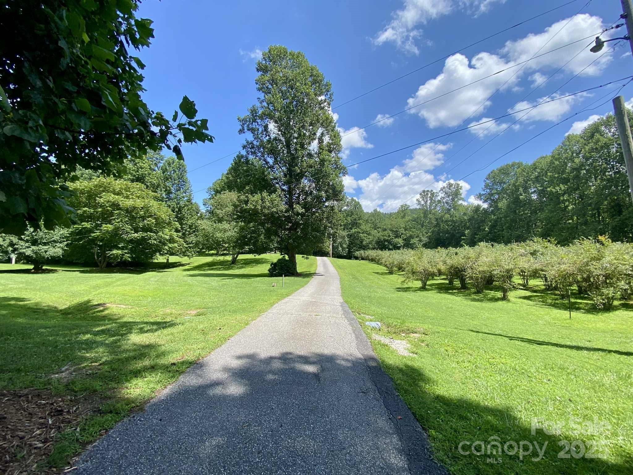 163 Gypsy Mountain Road Marion NC 28752