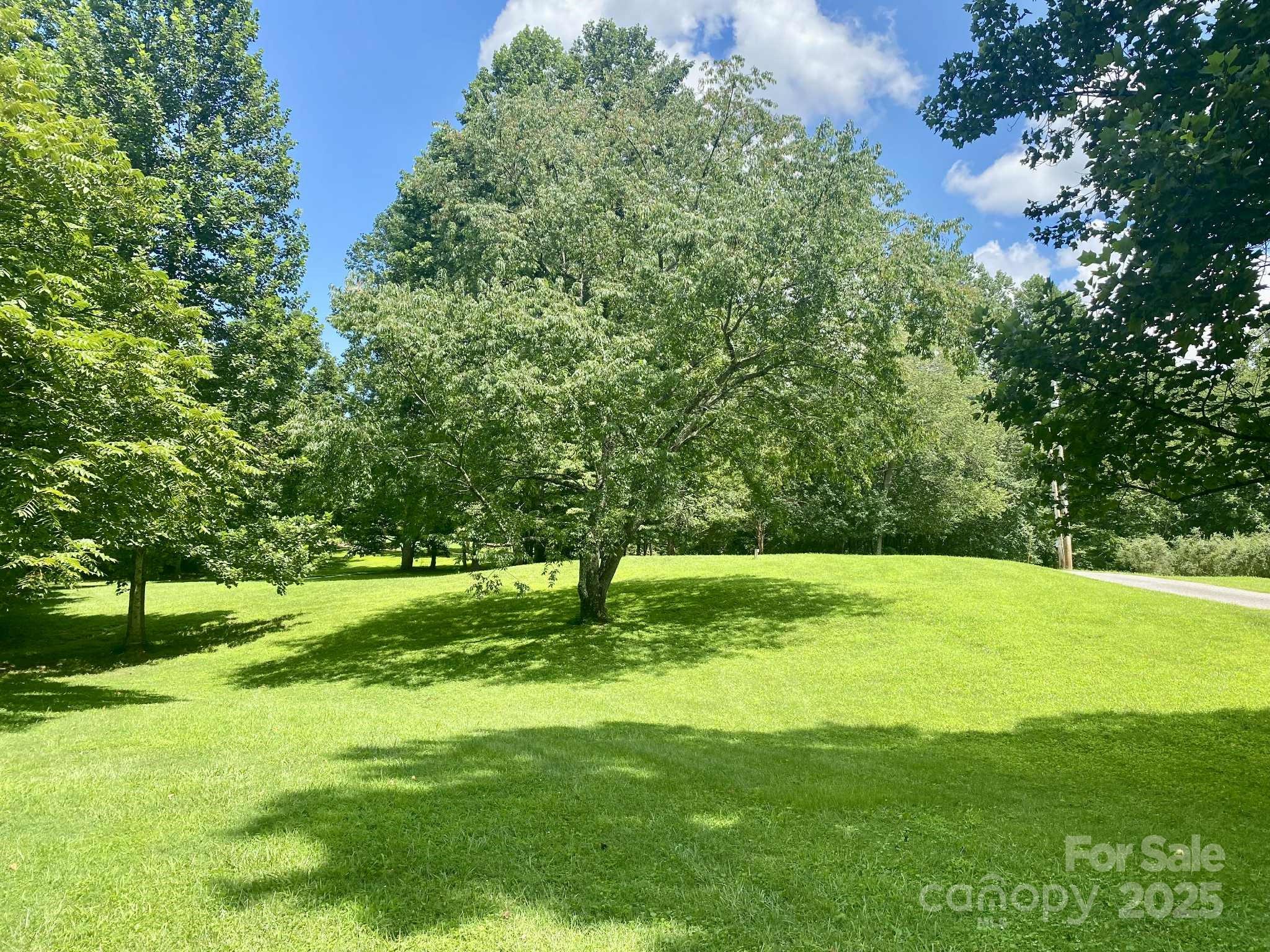 163 Gypsy Mountain Road Marion NC 28752