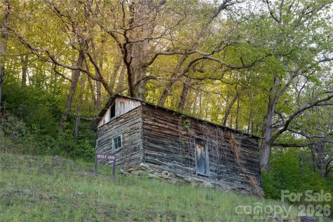 100 Kinloch Lane Clyde NC 28721