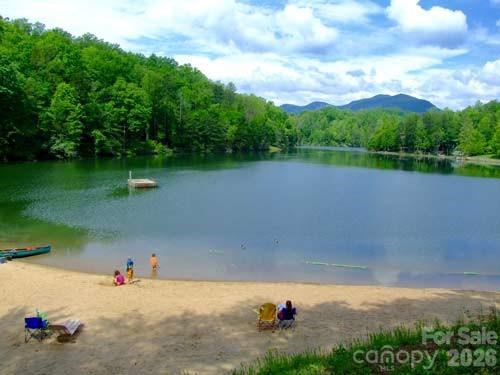 179 Doves Way Lake Lure NC 28746