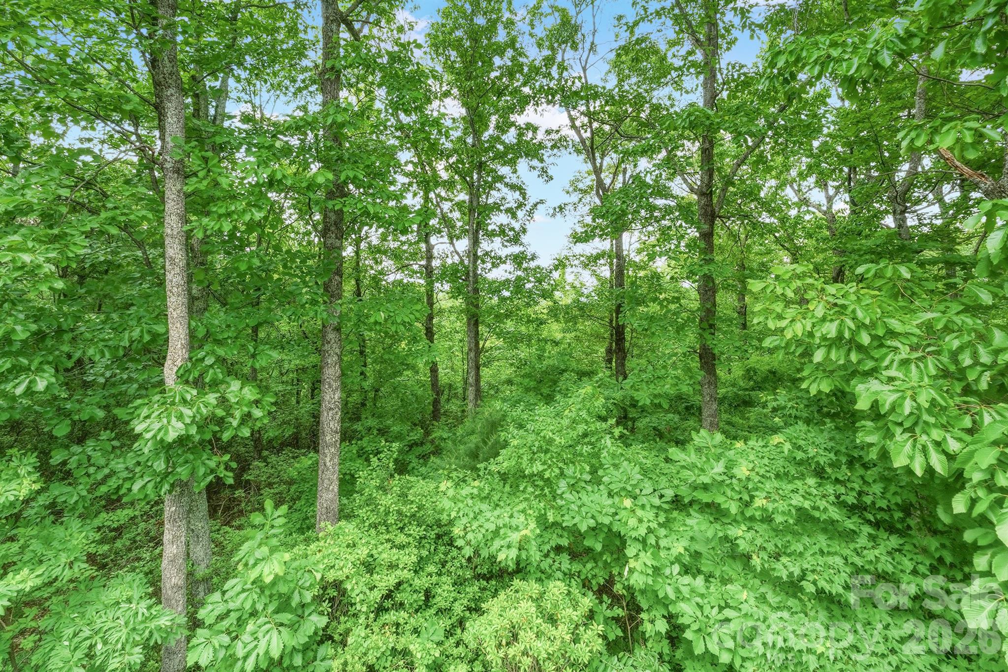 3190 Holly Road Connelly Springs NC 28612