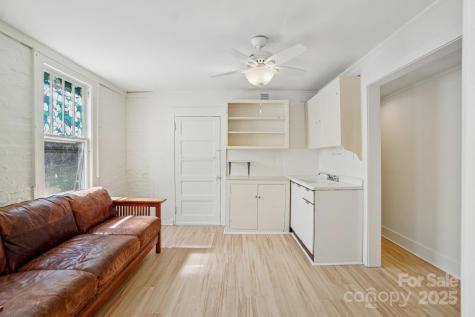 31 Oakwood Street Asheville NC 28806