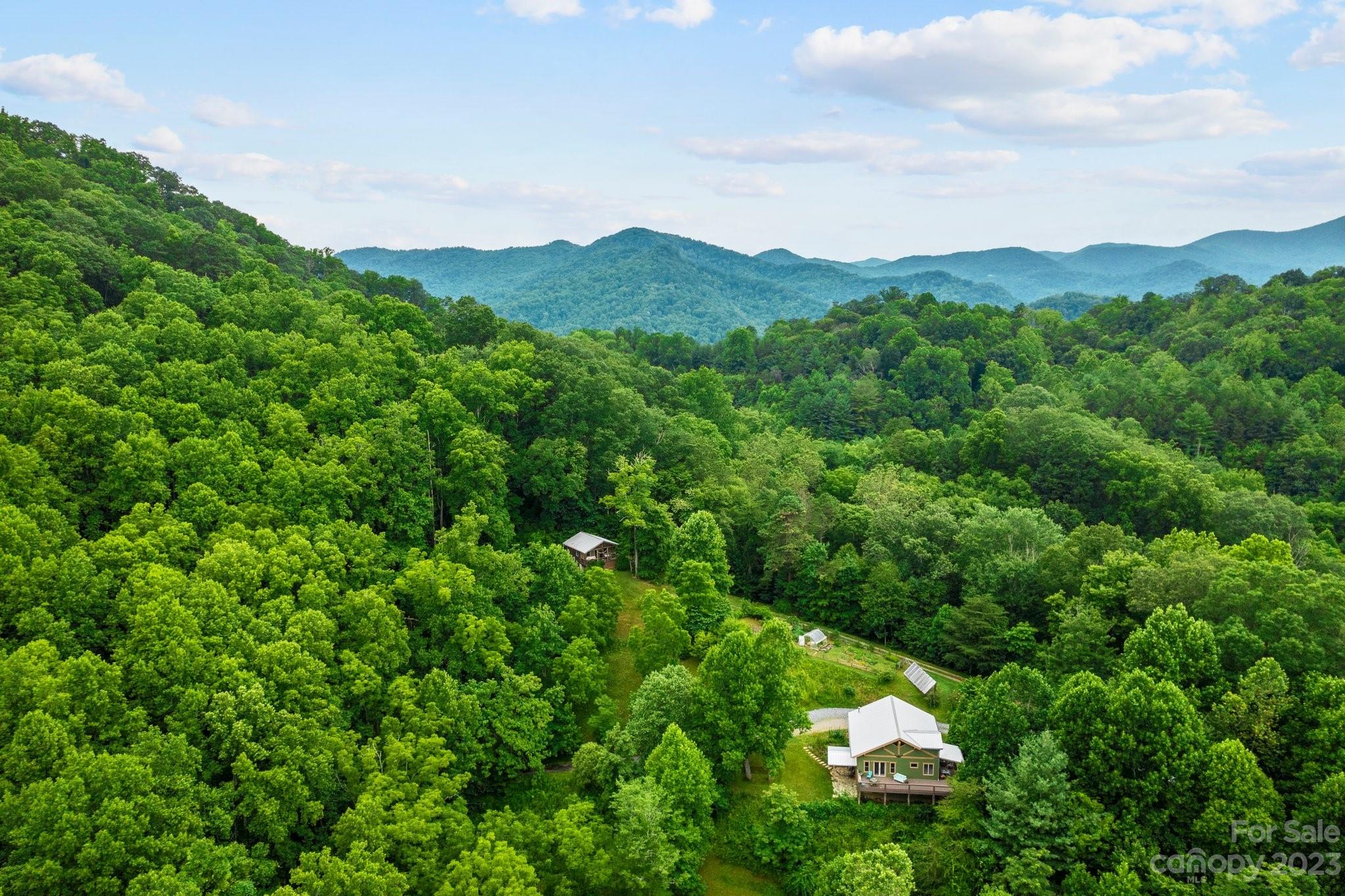 59 Morel Crossing Leicester NC 28748