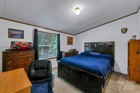 43 Goose Creek Road Swannanoa NC 28778