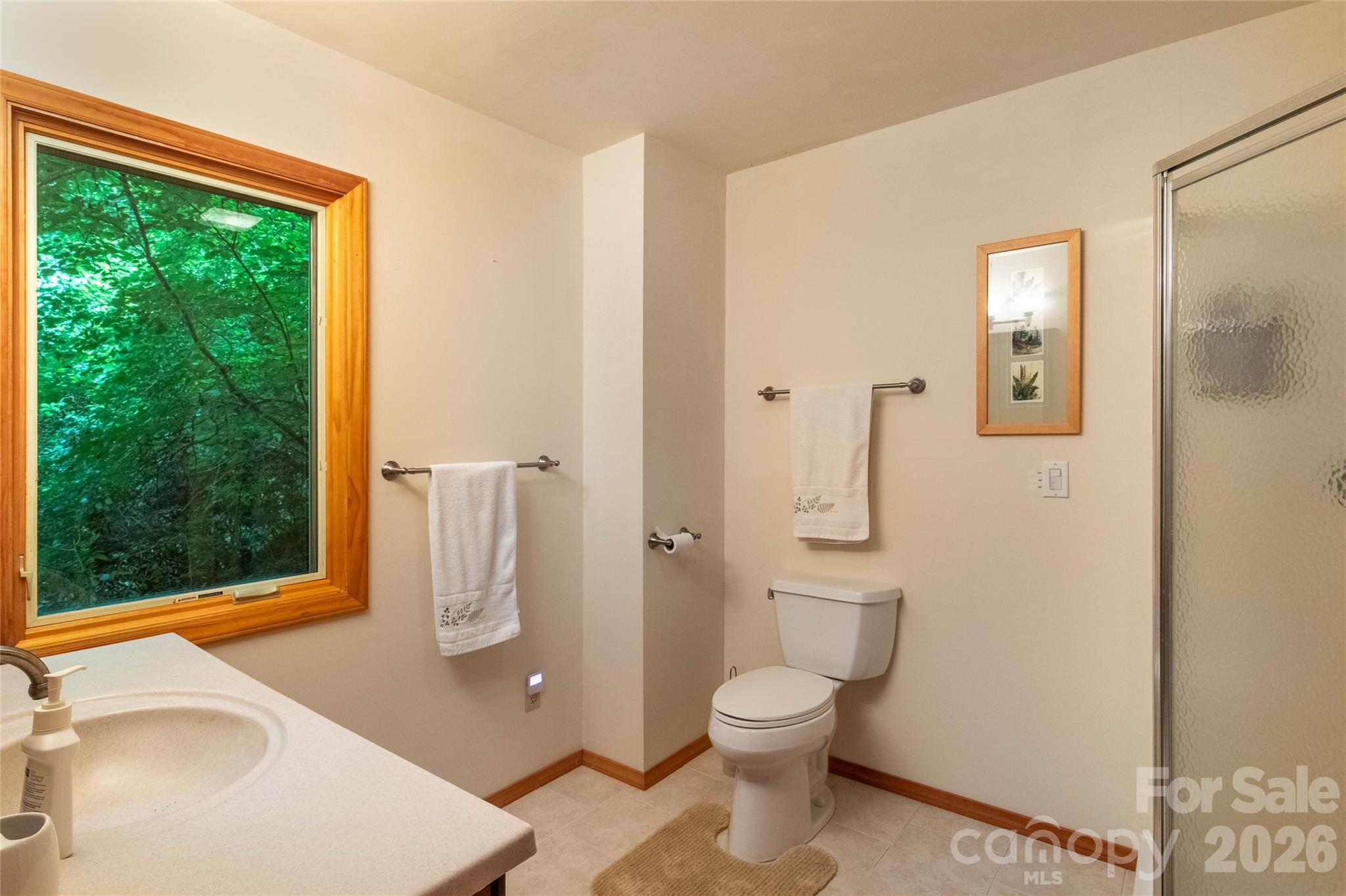 300 Sweet Birch Lane Tuckasegee NC 28783