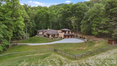 959 & 957 Dave Whitaker Road Horse Shoe NC 28742