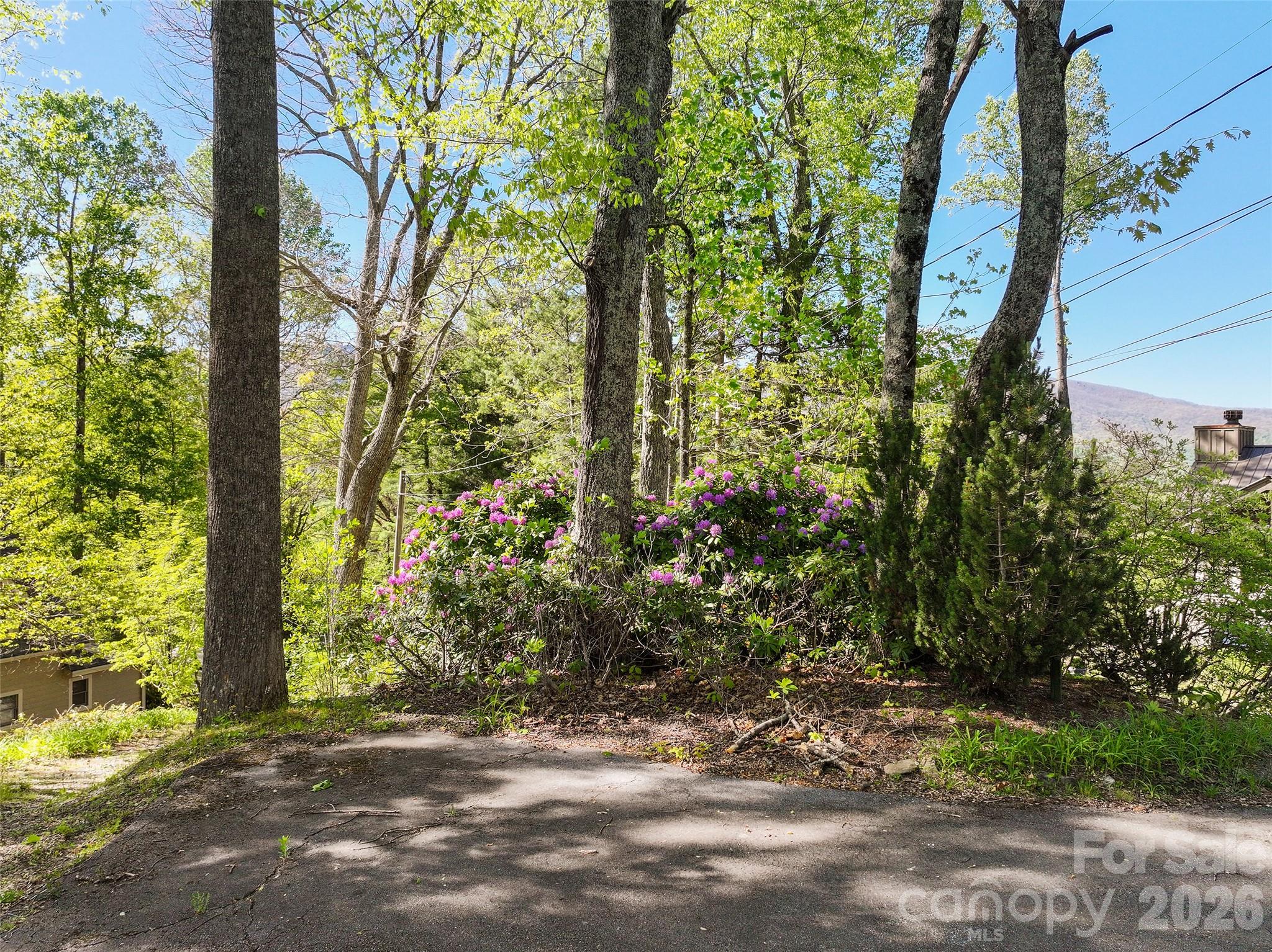 479 Old Dummy Line Road Balsam NC 28707