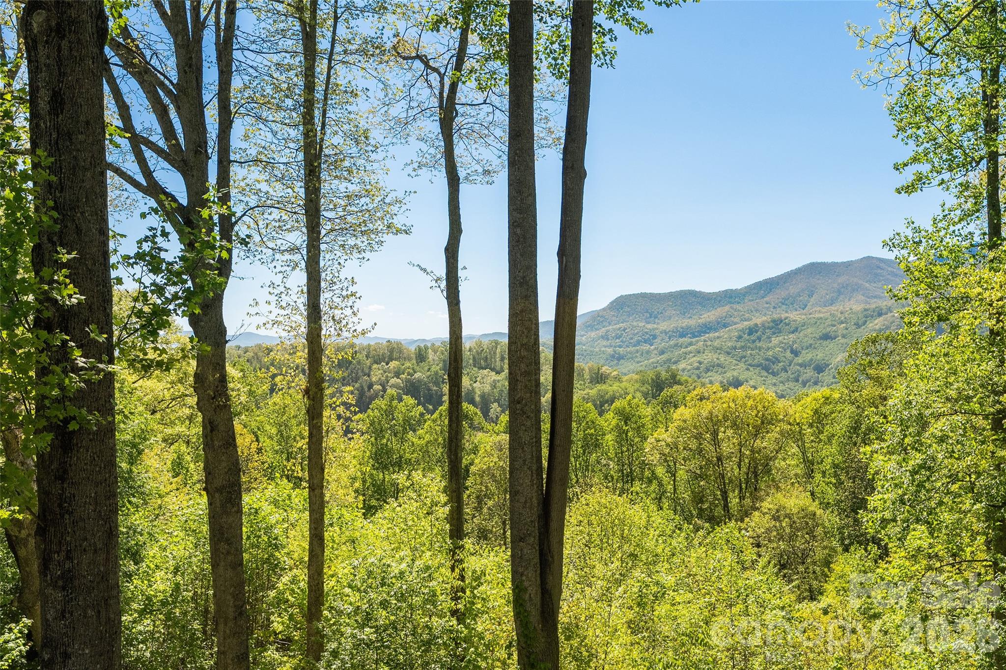 479 Old Dummy Line Road Balsam NC 28707