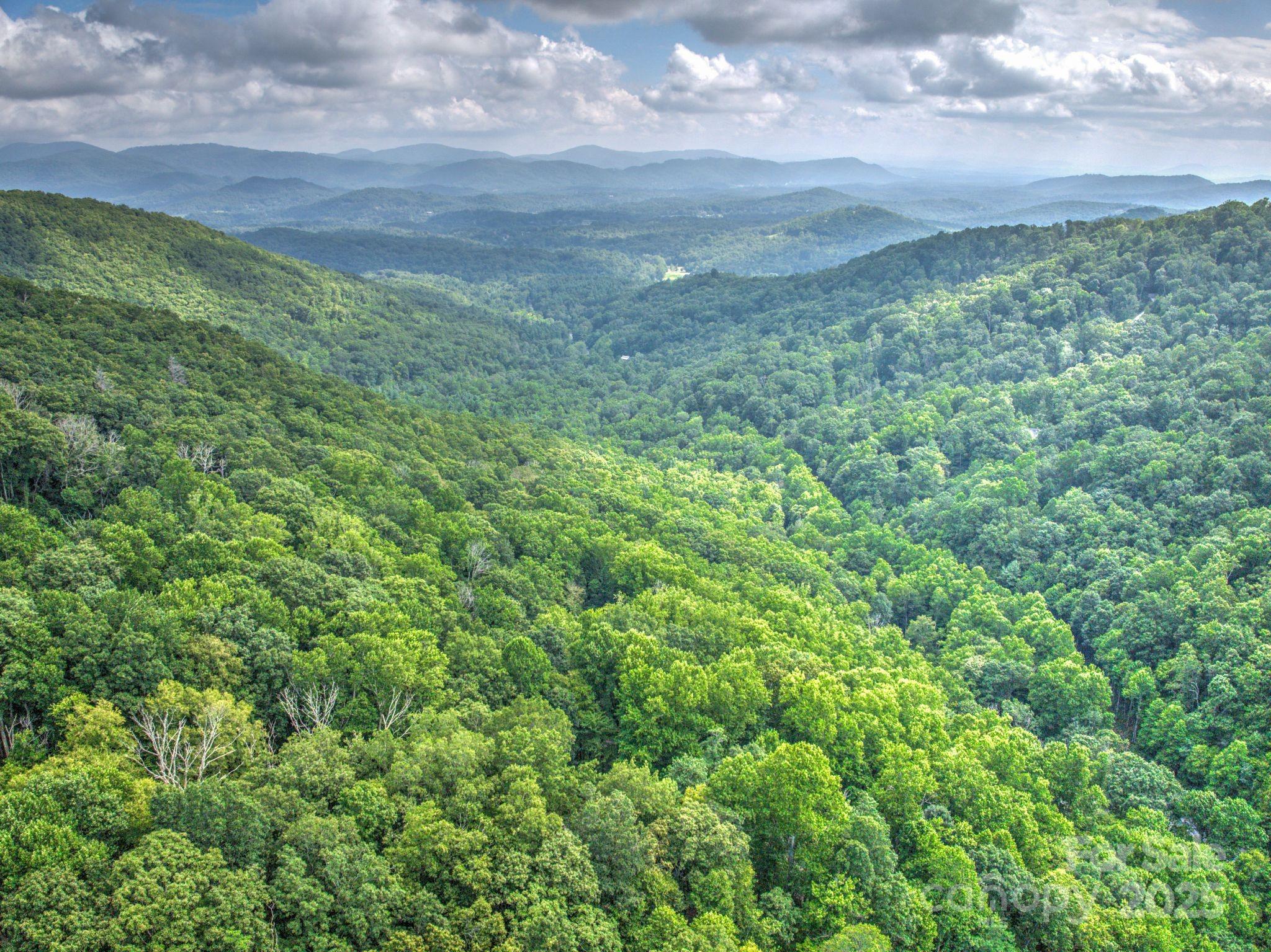 48 Black Oak Forest Road Fairview NC 28730