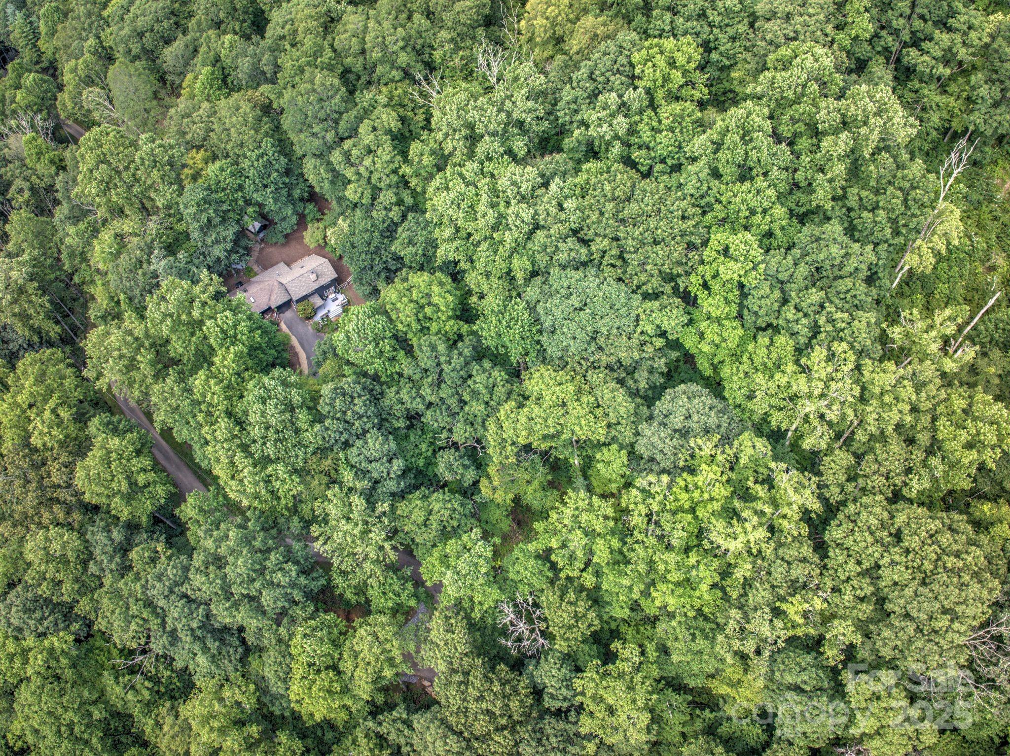 48 Black Oak Forest Road Fairview NC 28730