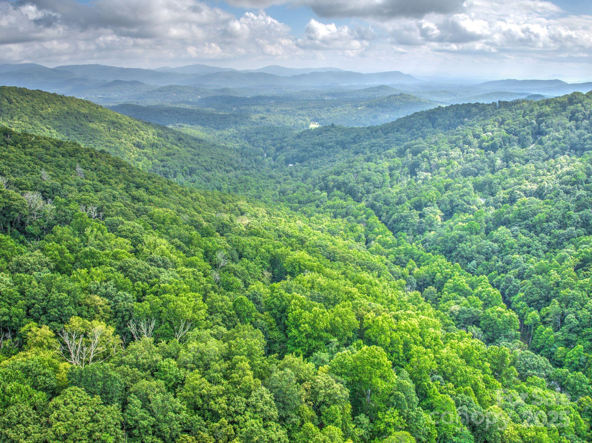 48 Black Oak Forest Road Fairview NC 28730