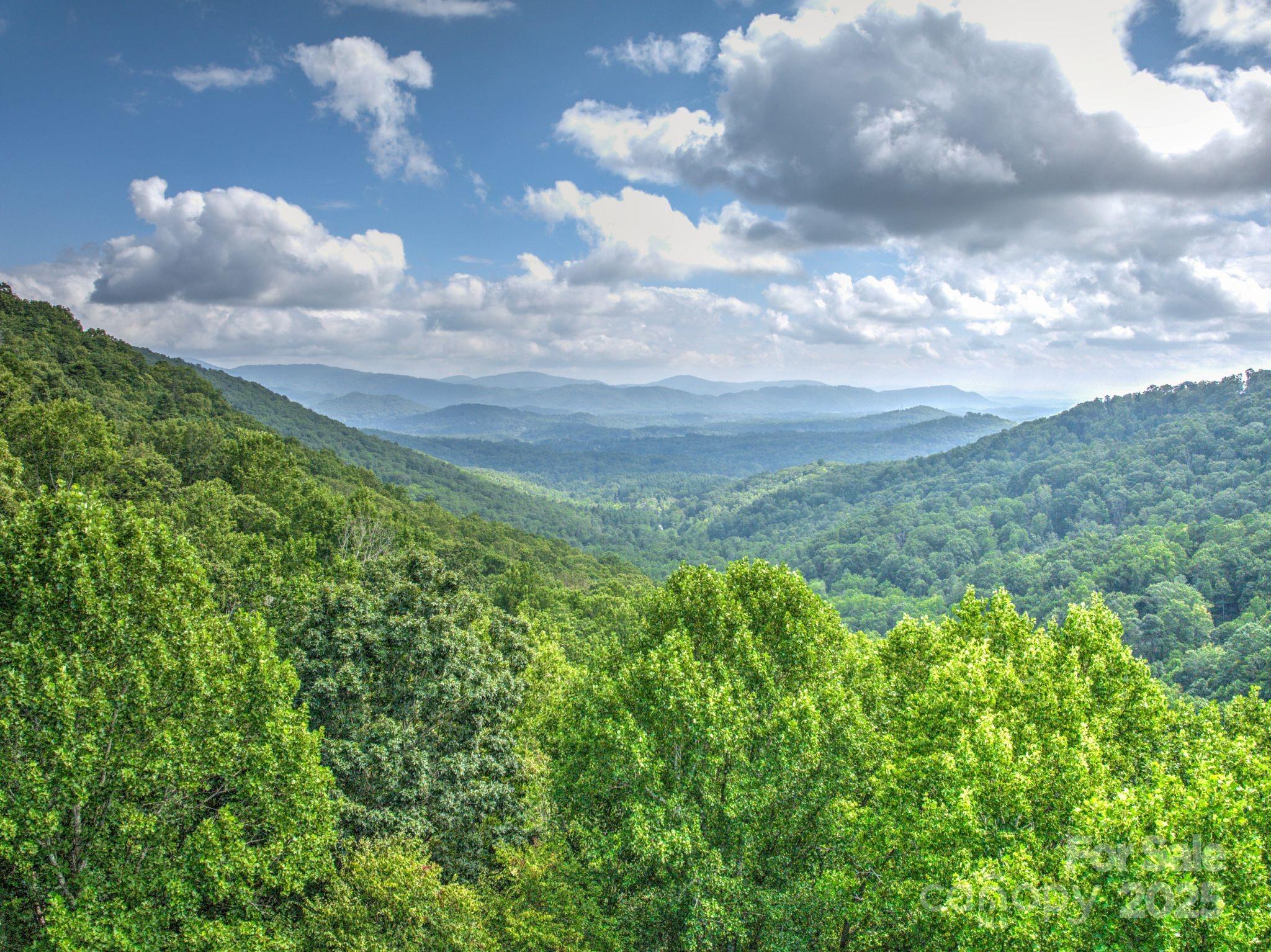 48 Black Oak Forest Road Fairview NC 28730