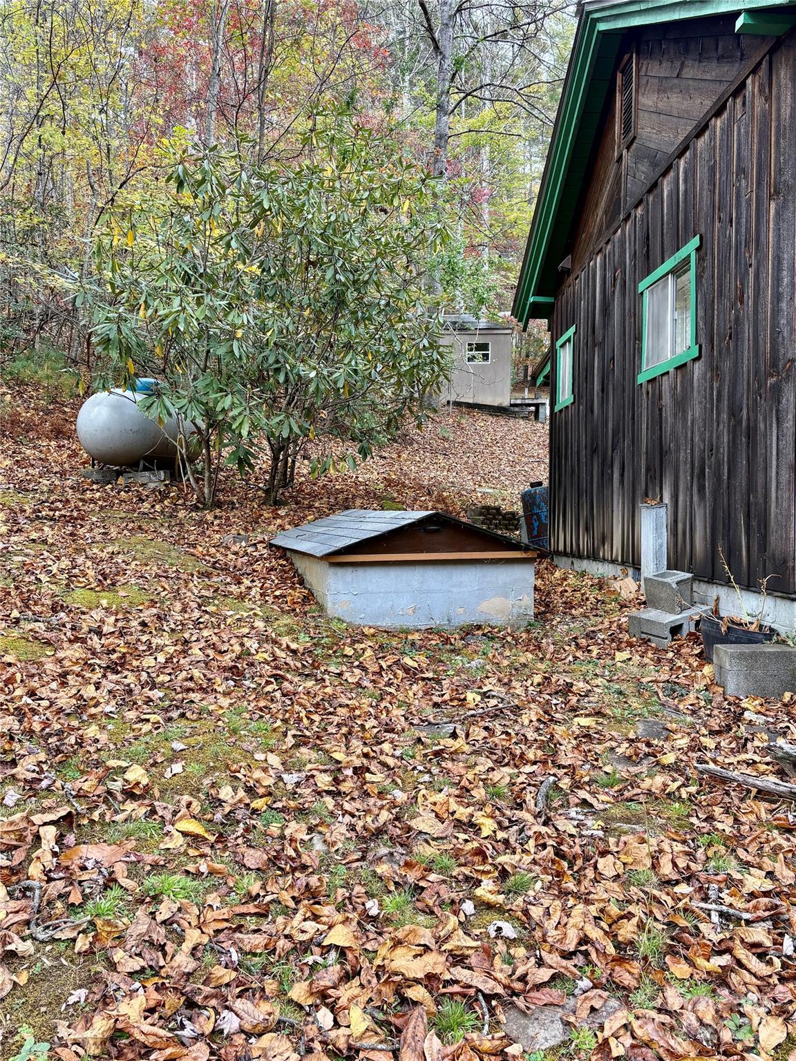 875 Carson Creek Road Brevard NC 28712
