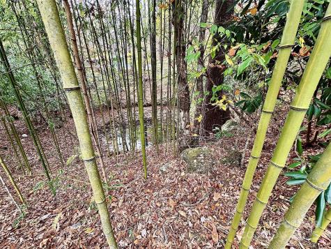 875 Carson Creek Road Brevard NC 28712