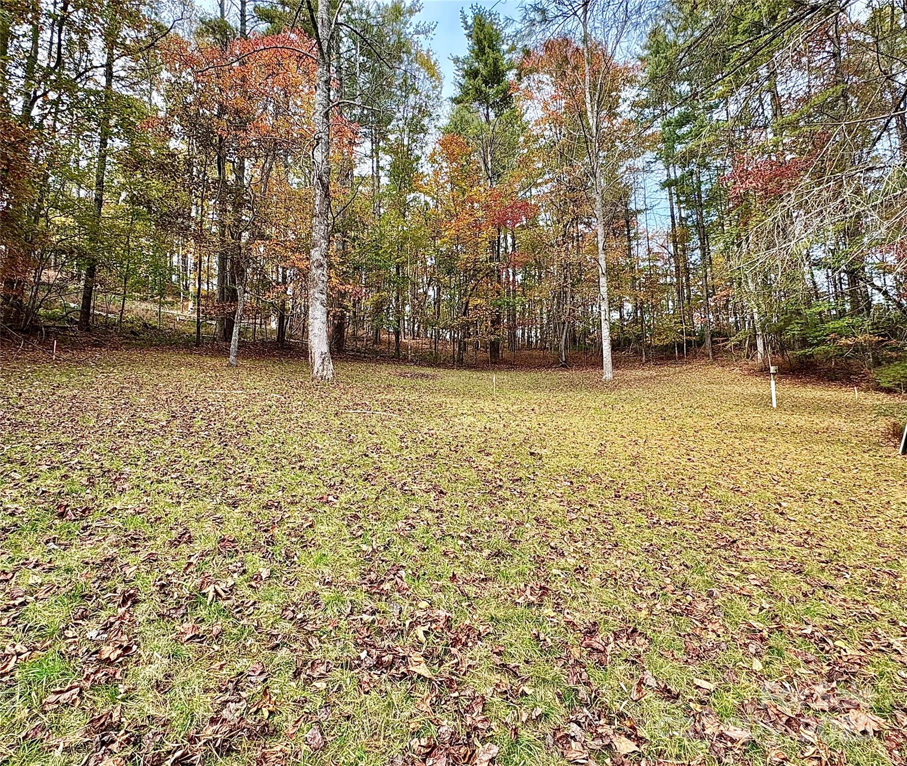 875 Carson Creek Road Brevard NC 28712