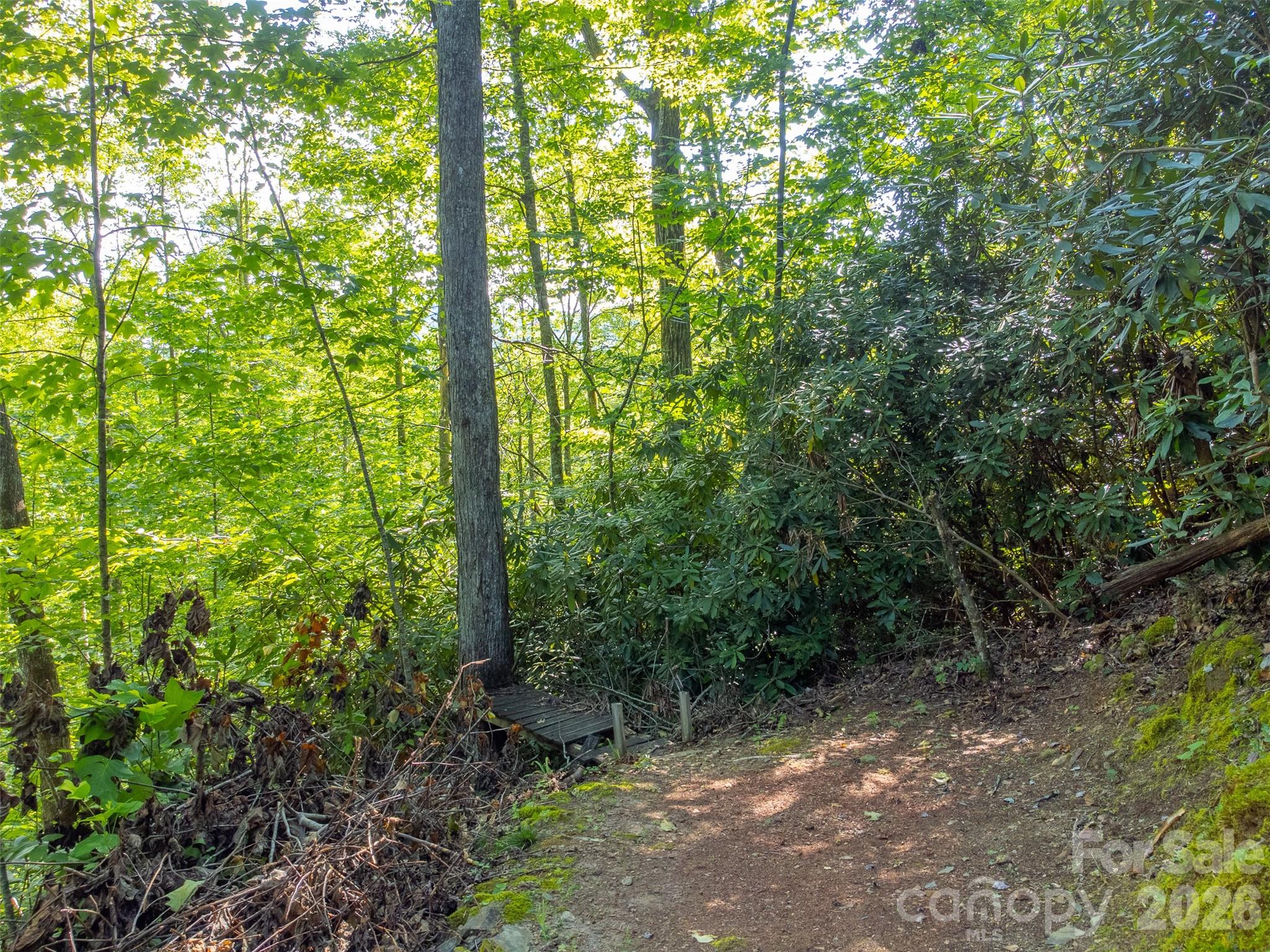 283 Briggs Cove Road Robbinsville NC 28771