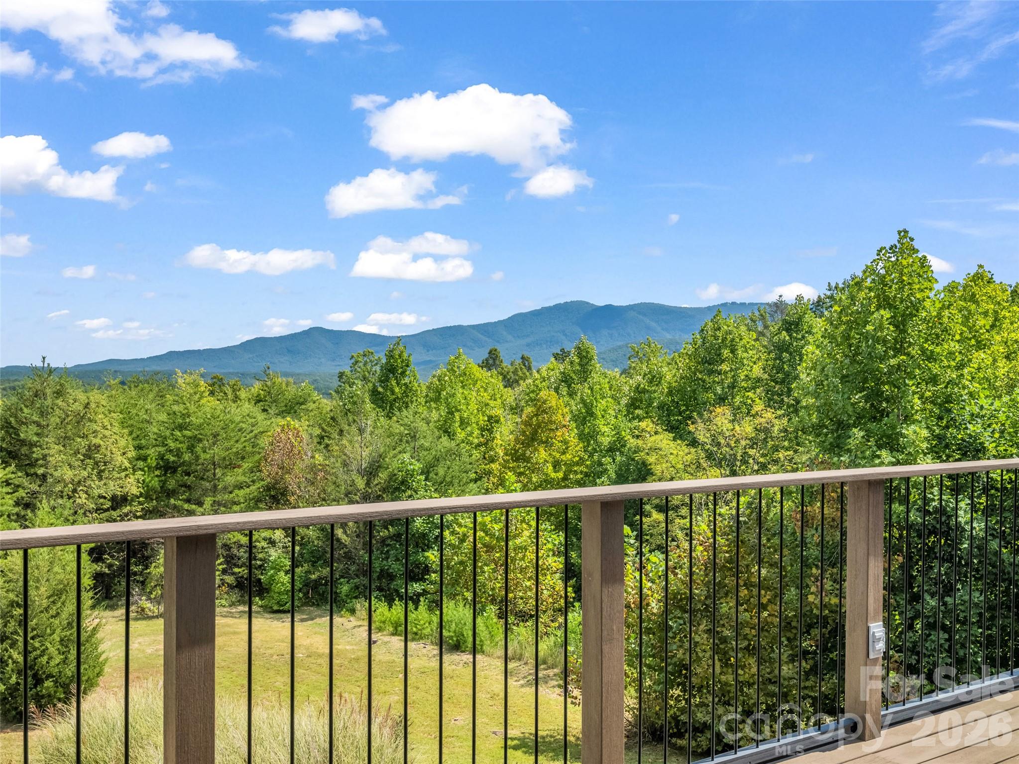 2435 Deep Gap Farm Road E Mill Spring NC 28756