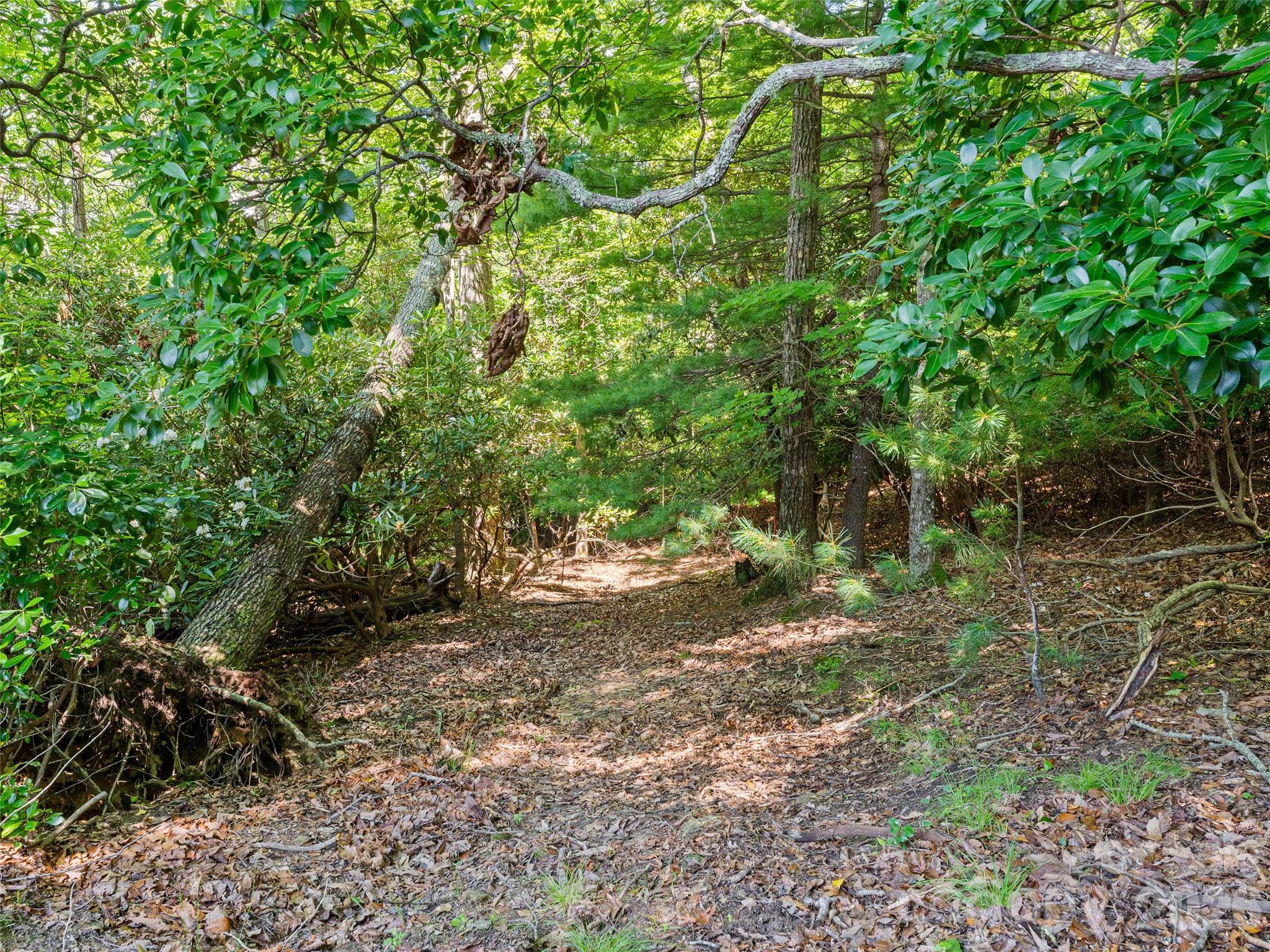 1909 Kentwood Lane Pisgah Forest NC 28768